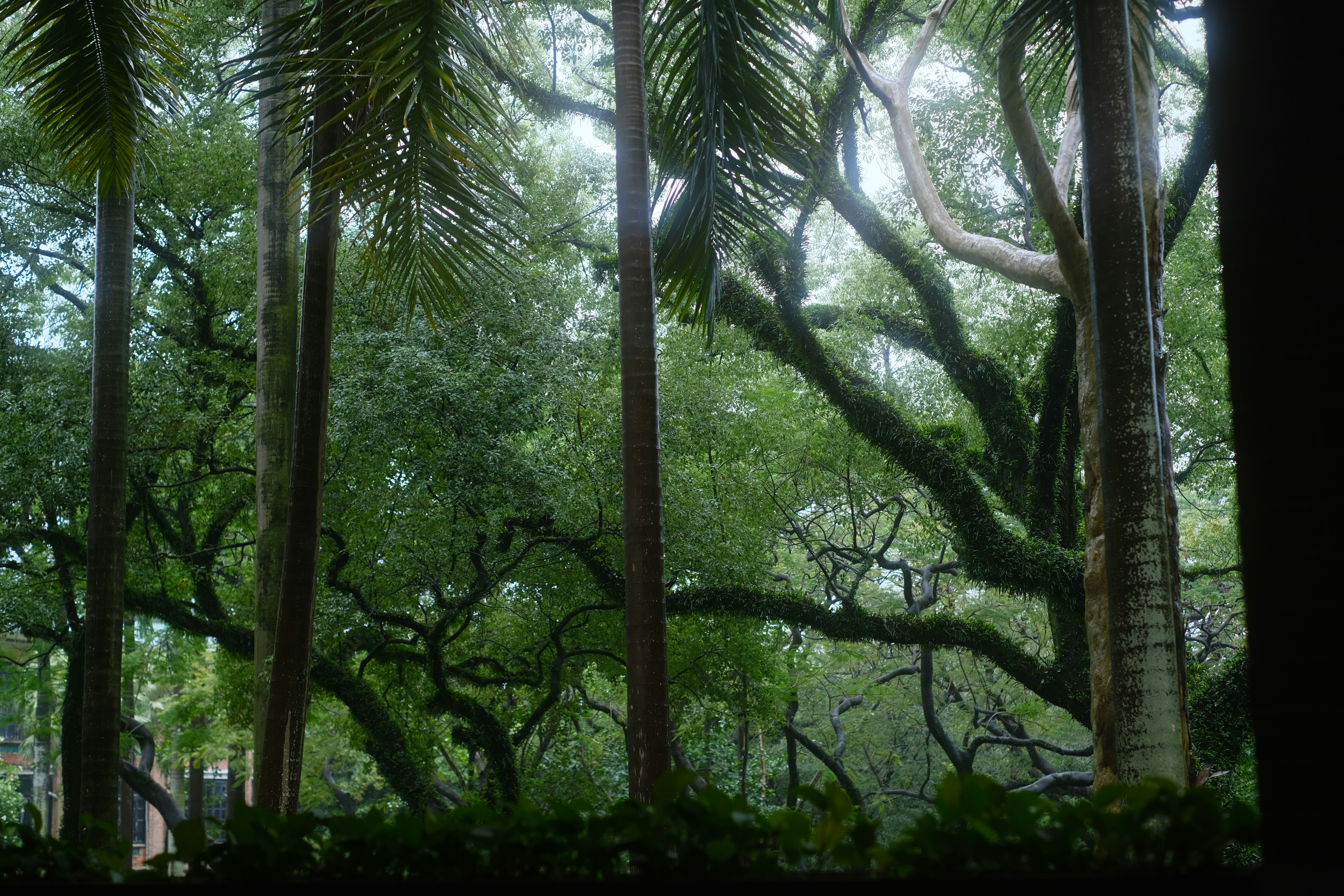 Photo by nameunknown