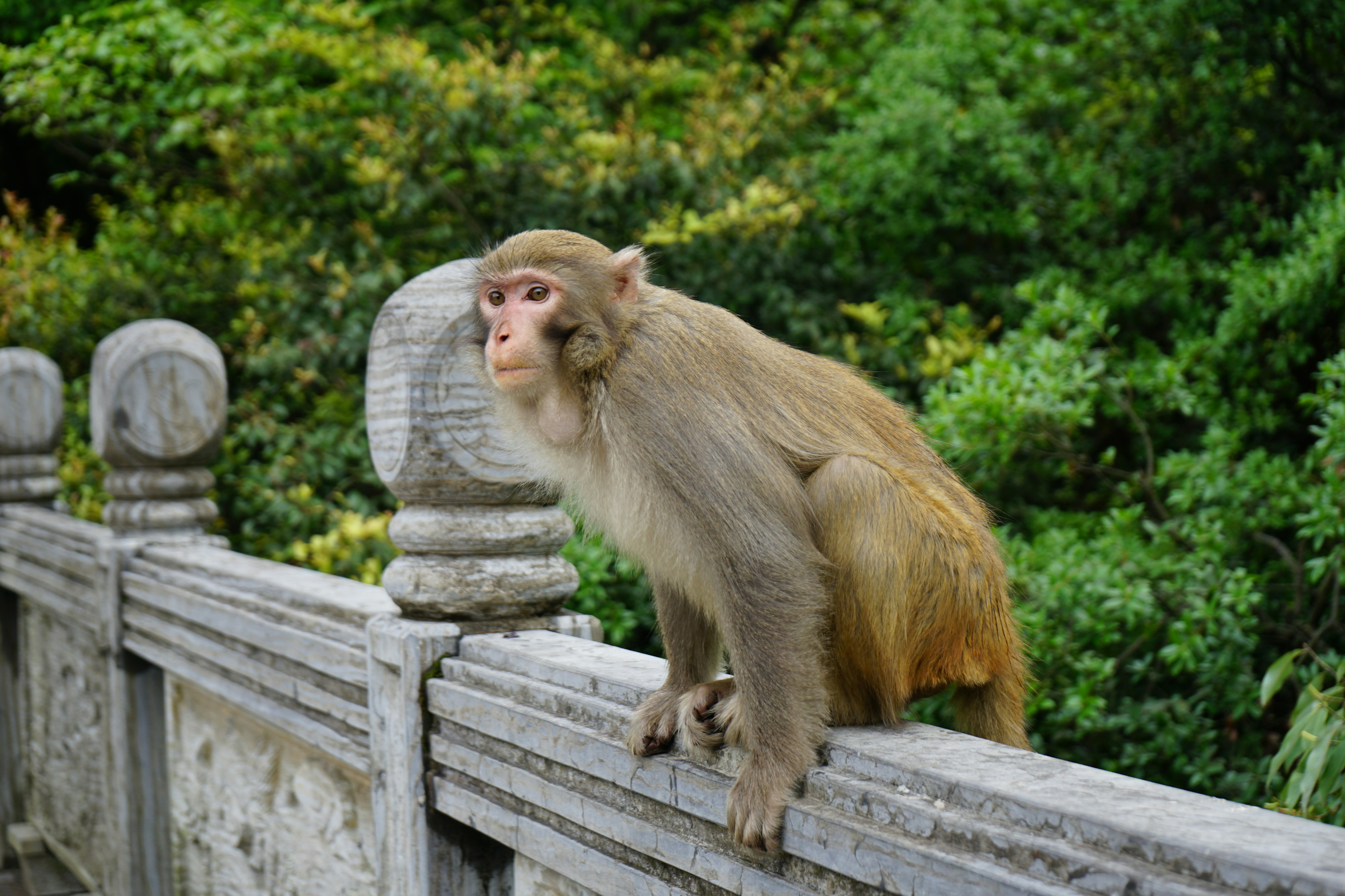 Photo by charliesuchart