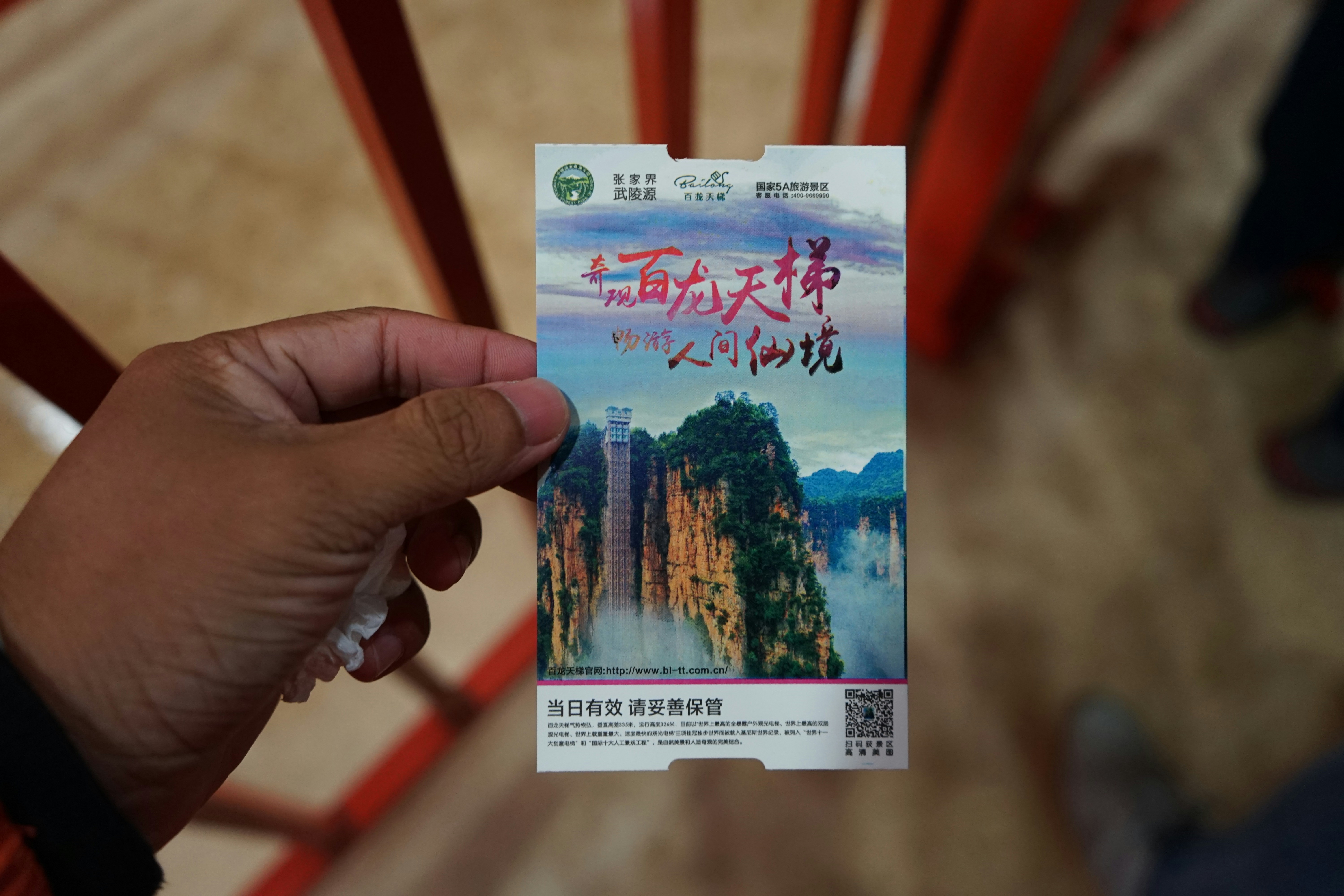 A person holds a ticket featuring a scenic view.