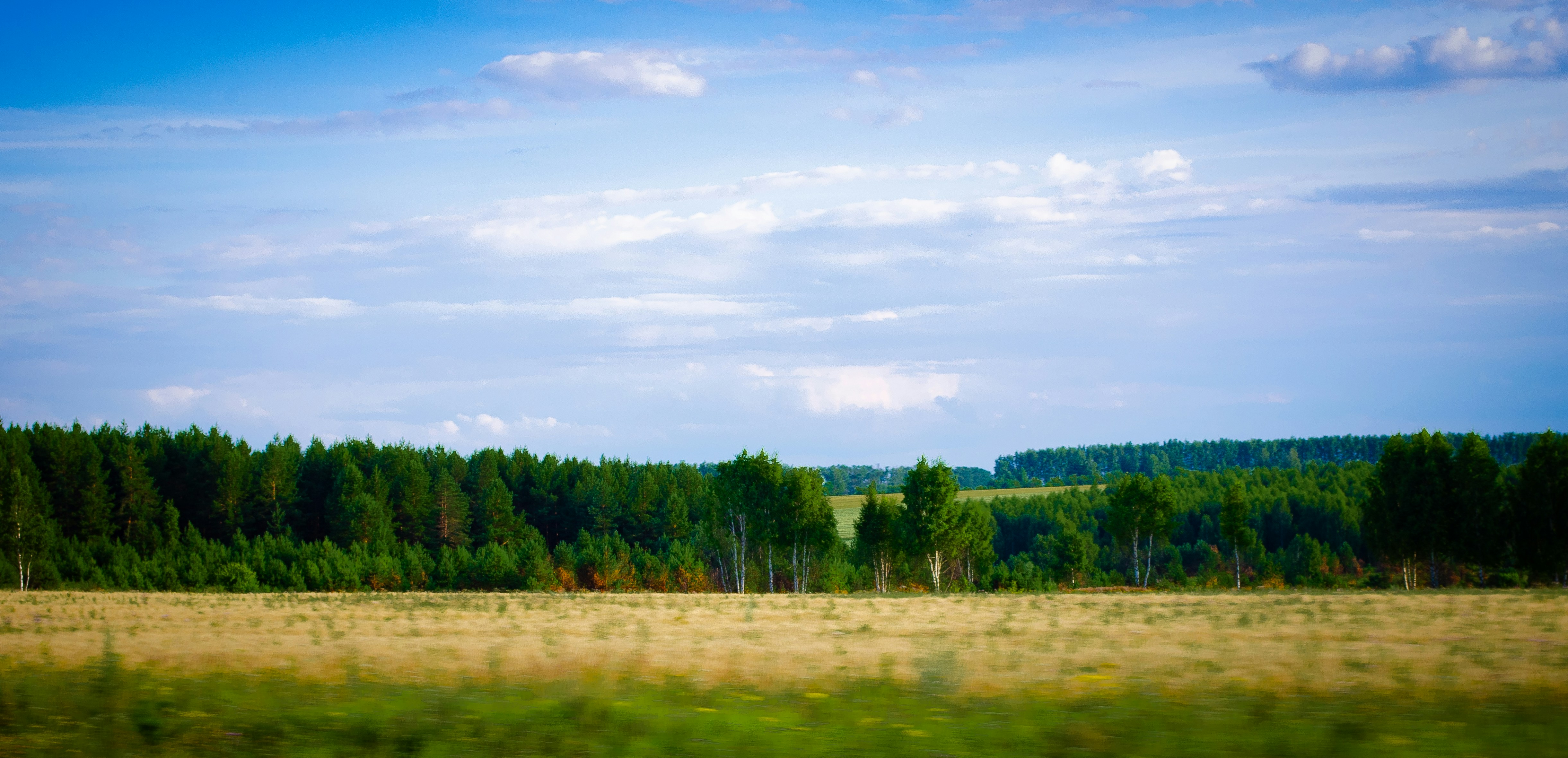 Photo by kseniakapyro