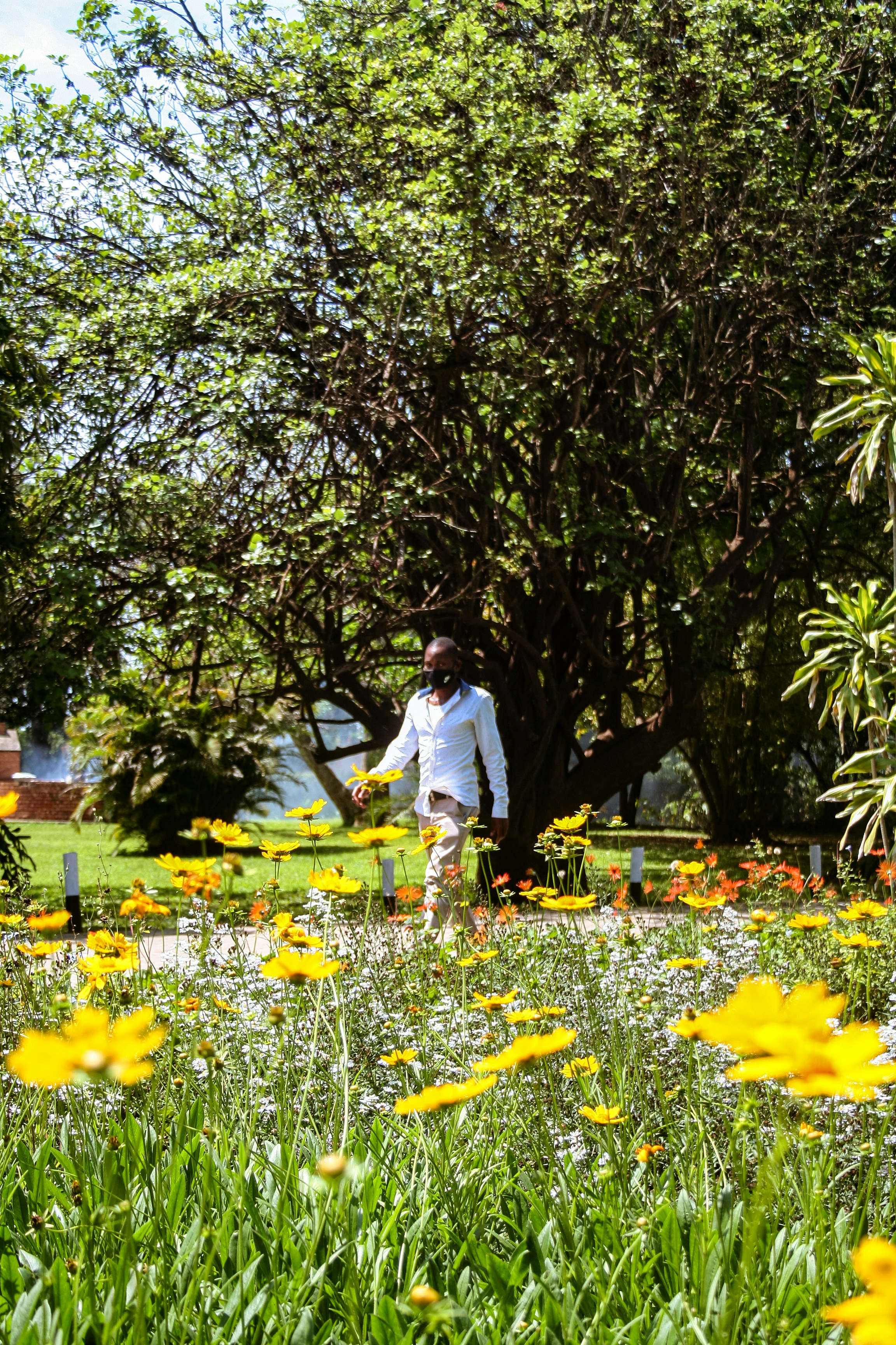 Photo by proudlyswazi_free