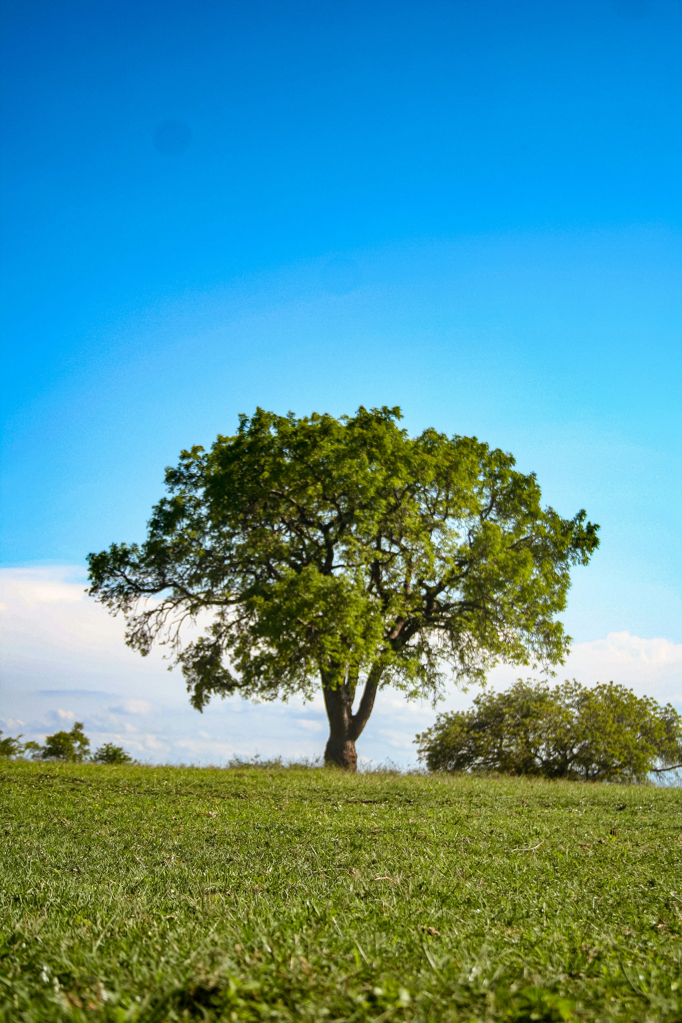 Photo by proudlyswazi_free