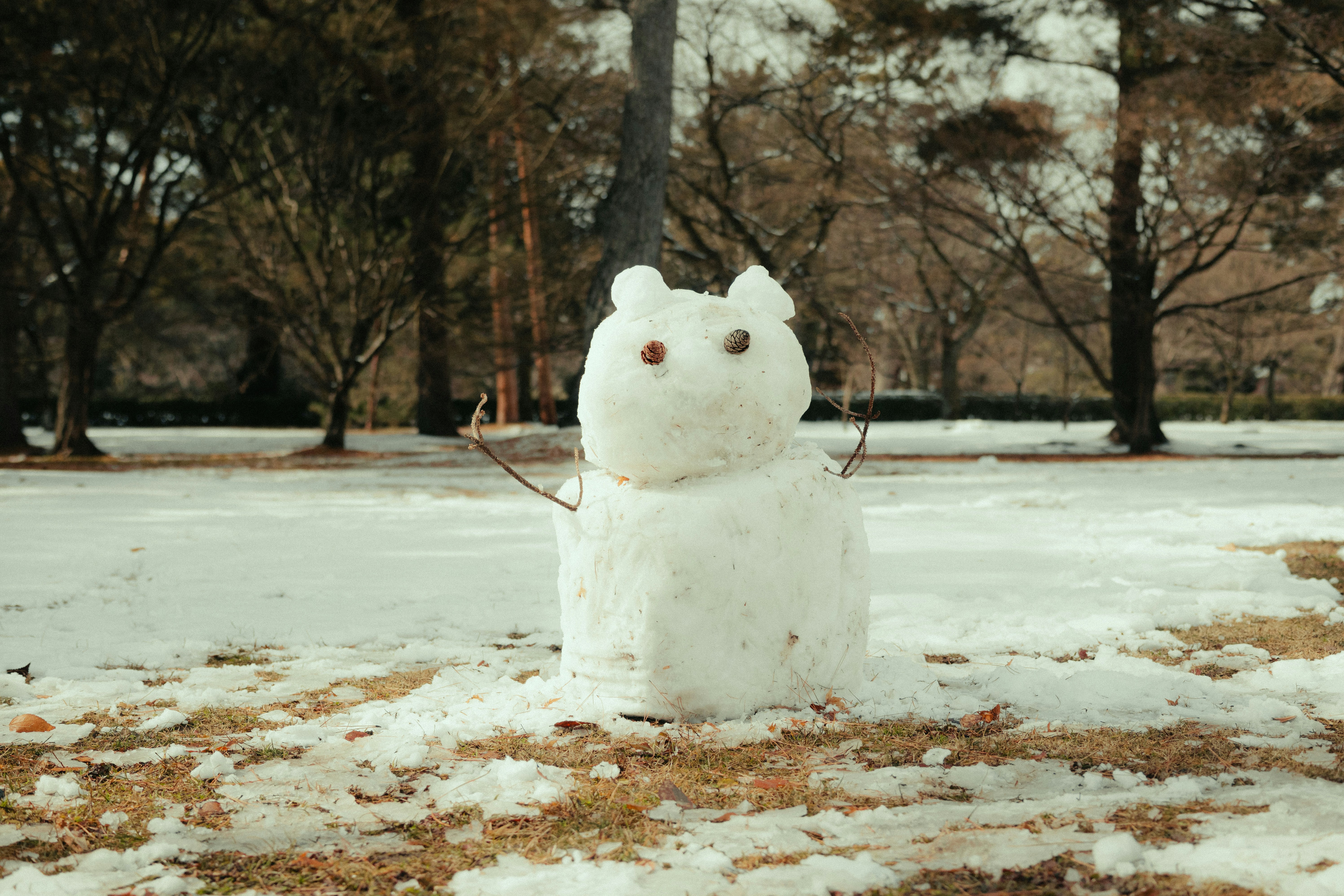 A snowman stands in the snowy field.