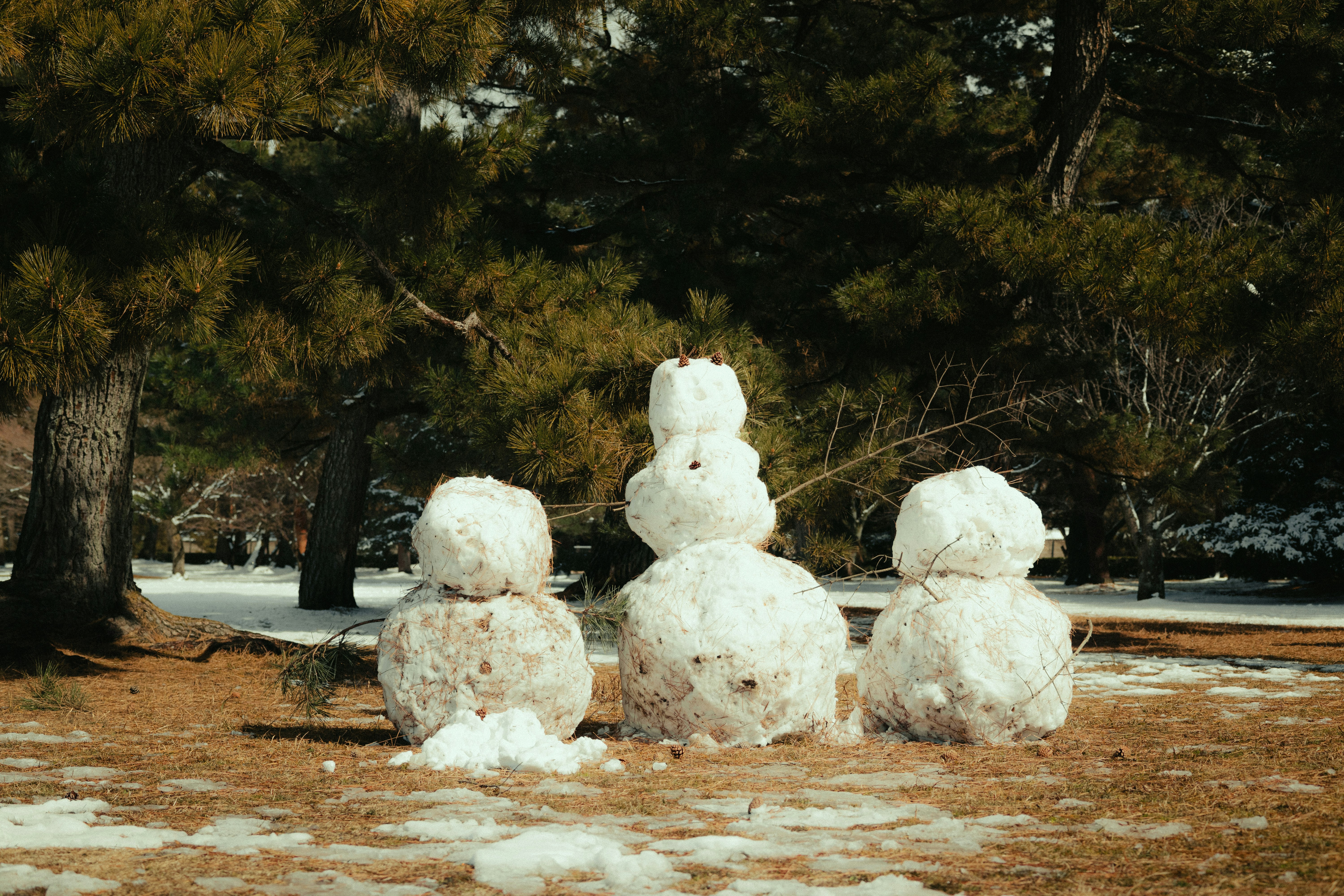 Three snowmen stand outside in the winter.