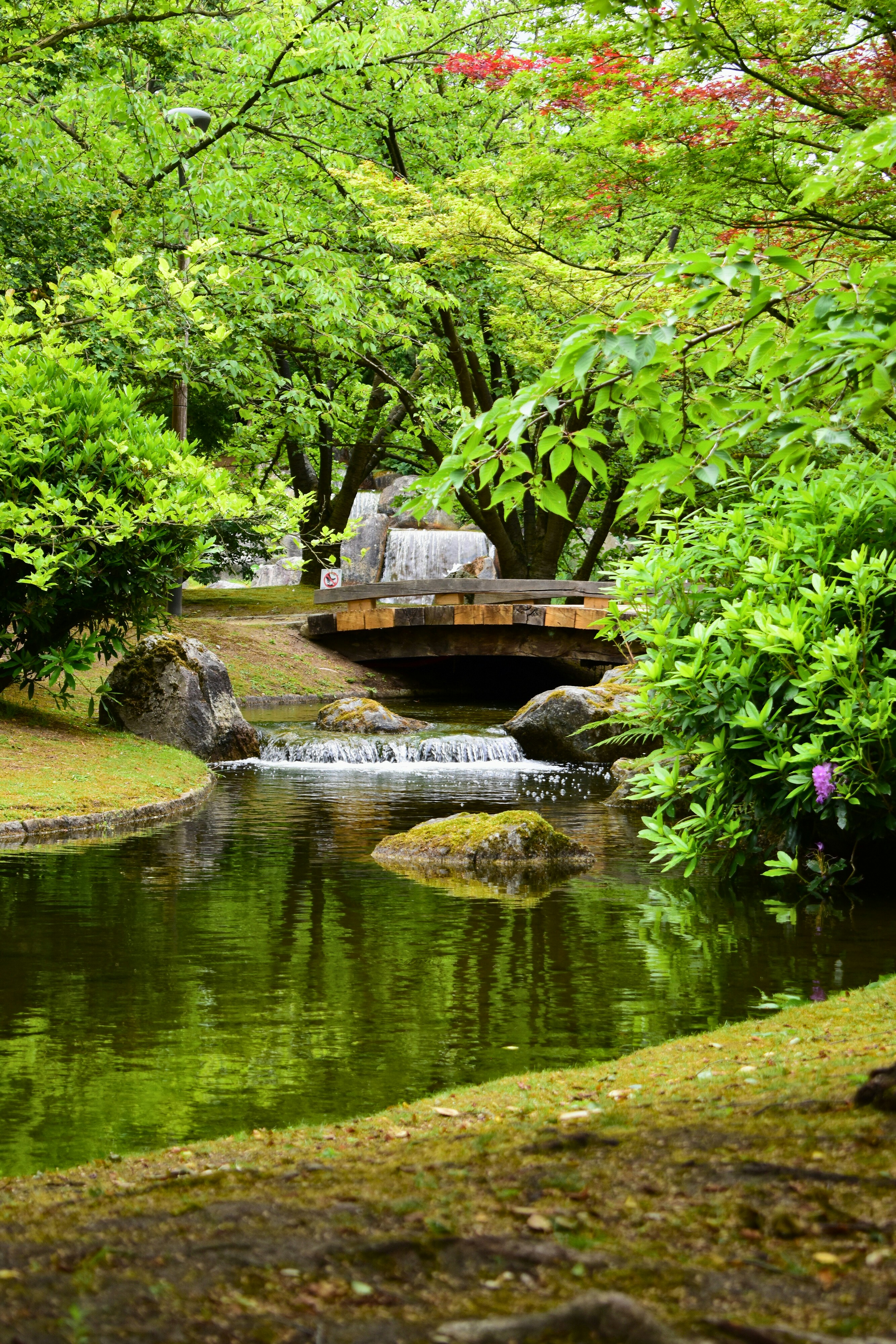 A peaceful japanese garden with a bridge.
