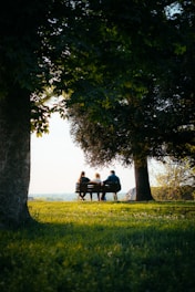 Three people sit on a bench under trees.