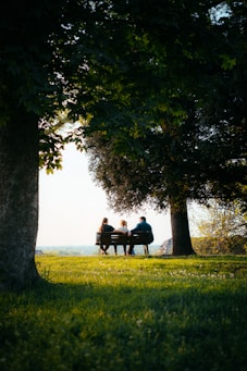 Three people sit on a bench under trees.