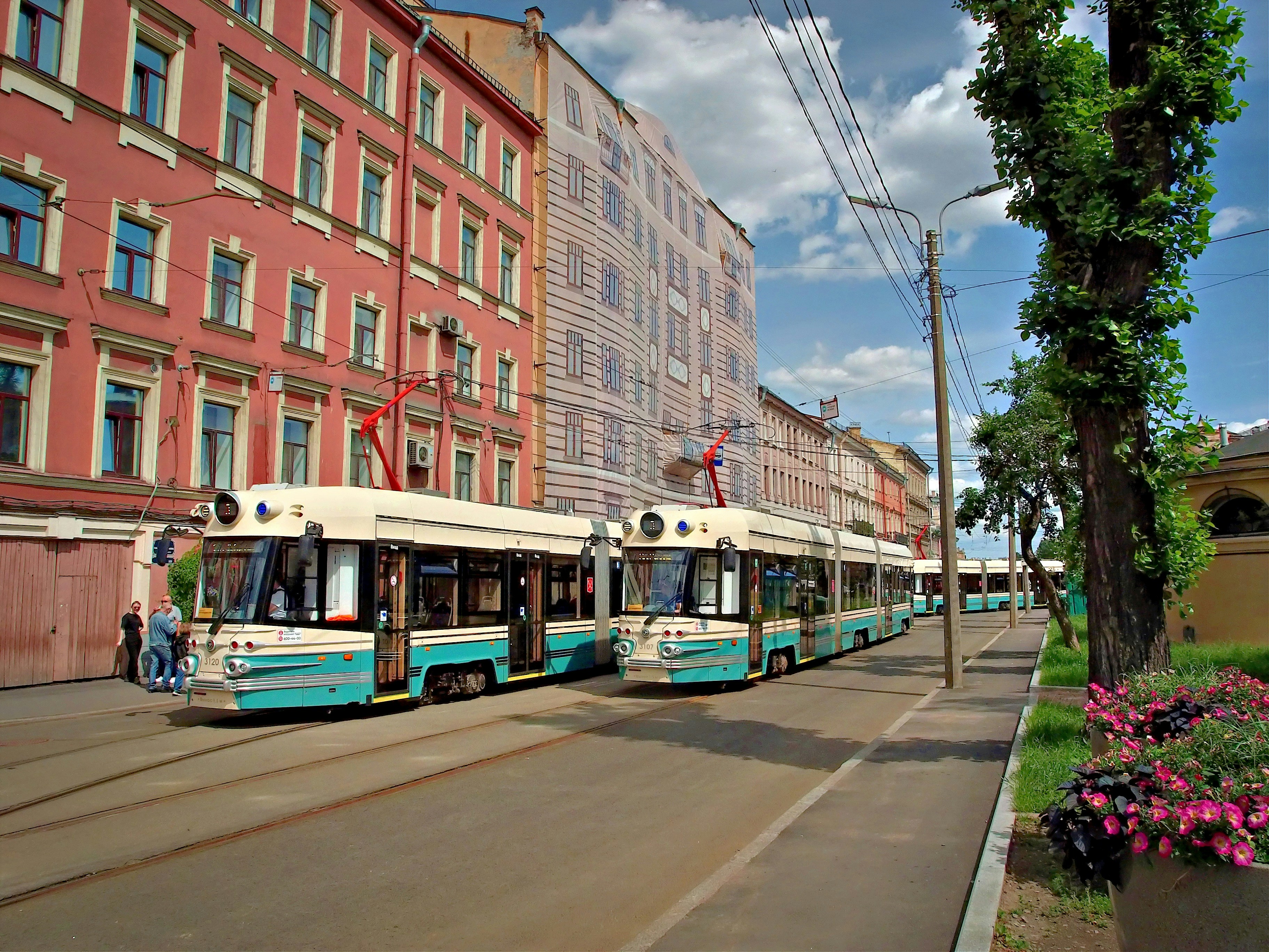 Trams travel down a street lined with buildings.