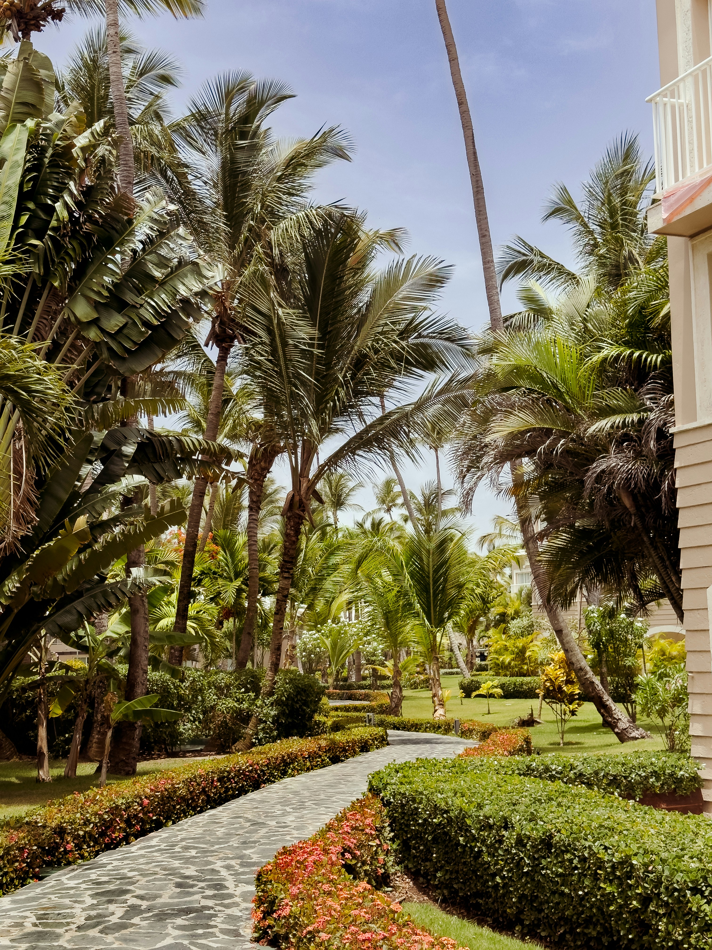 Photo by briantrepto