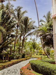 Pathway leads through lush tropical garden scenery.