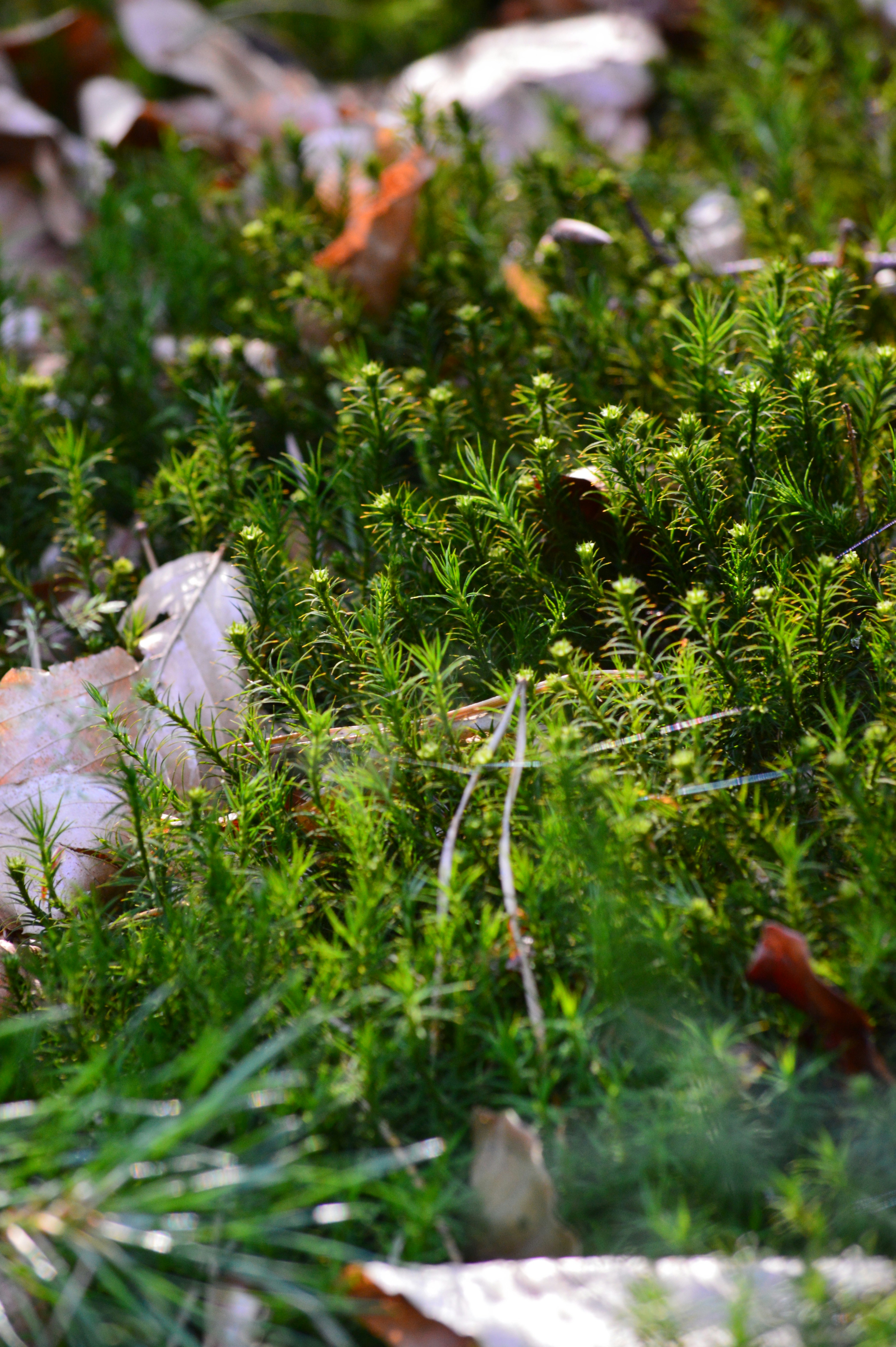 Photo by jennifer_maier_art