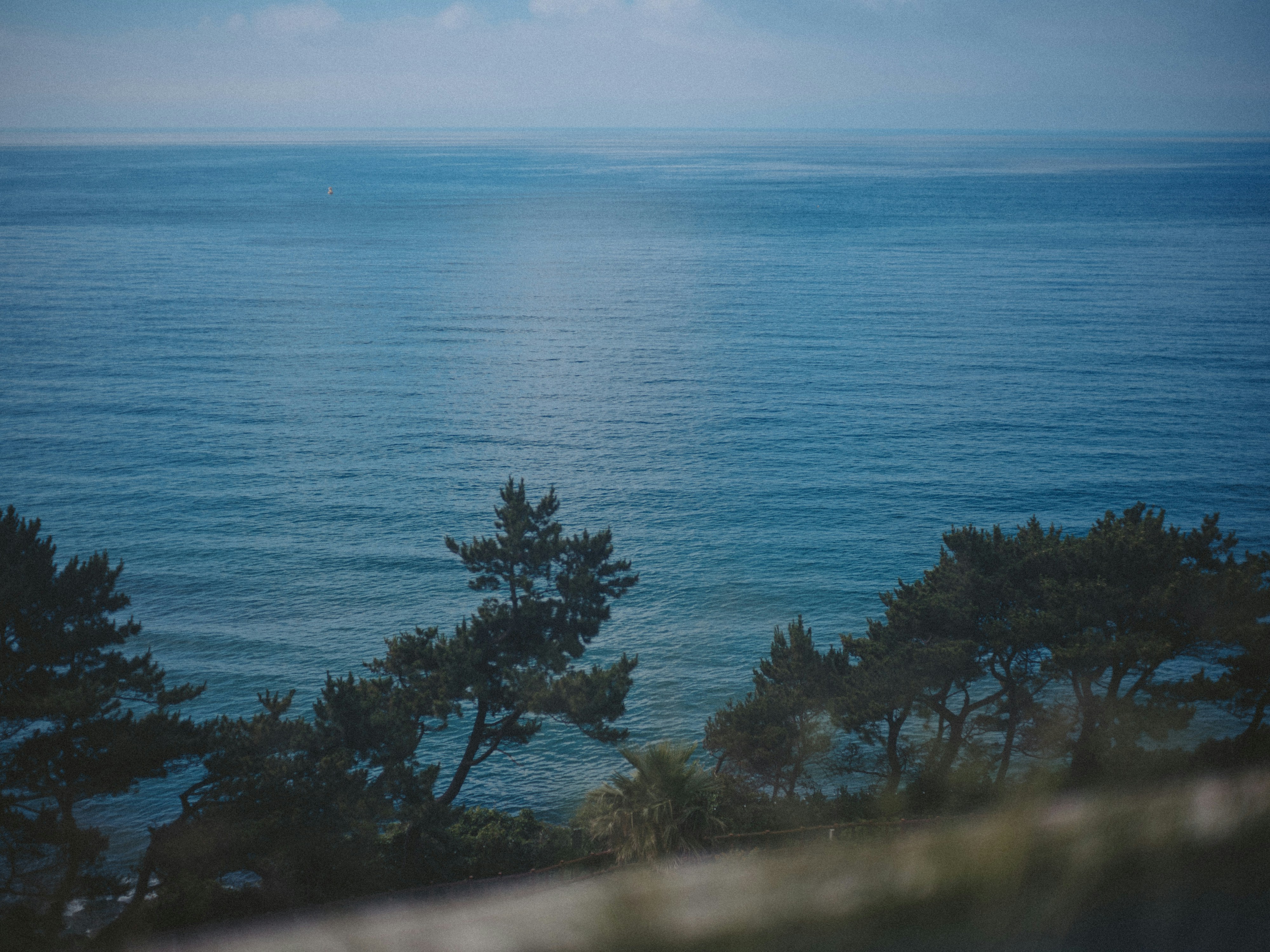 Photo by channnngma