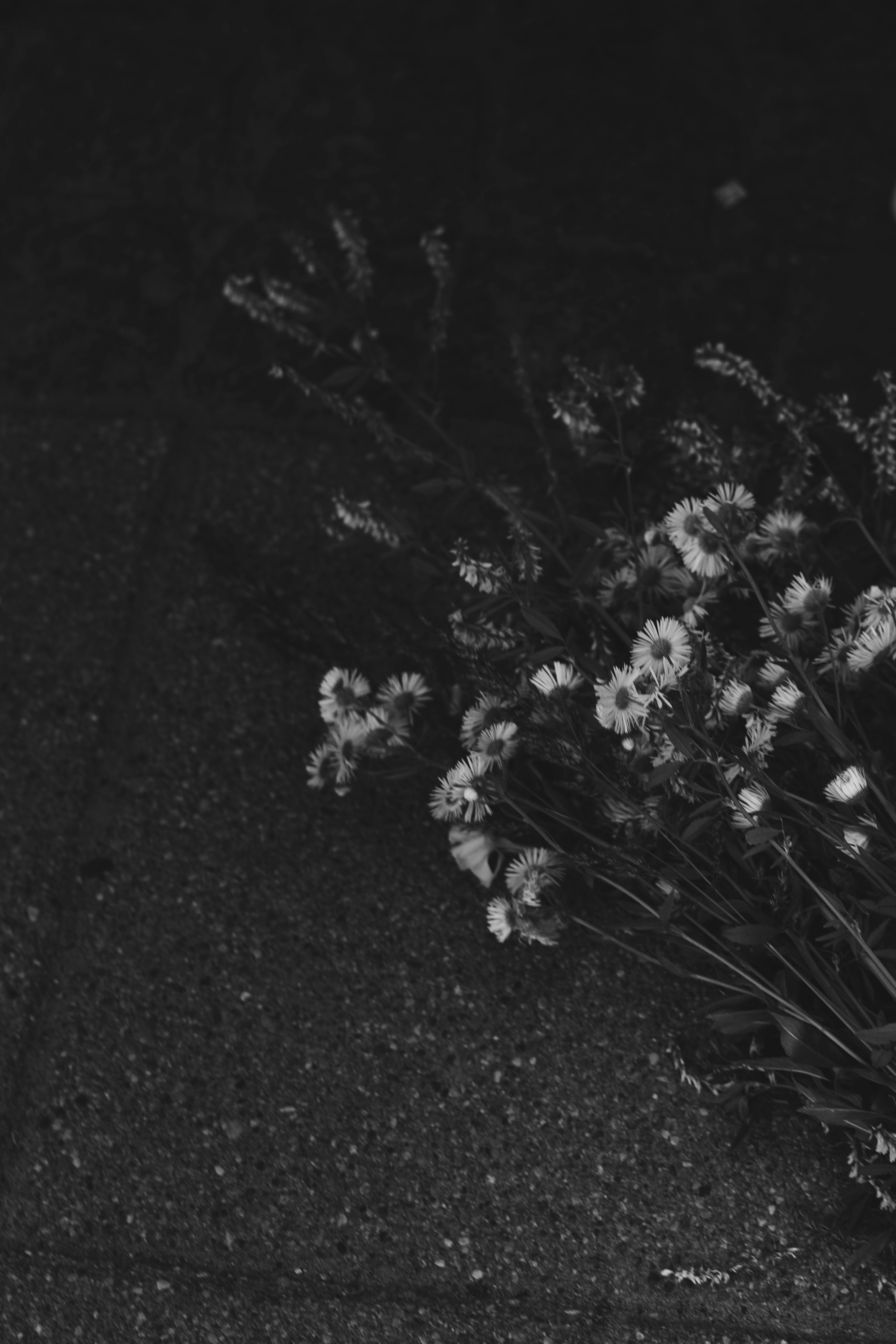 Photo by jo_negatives