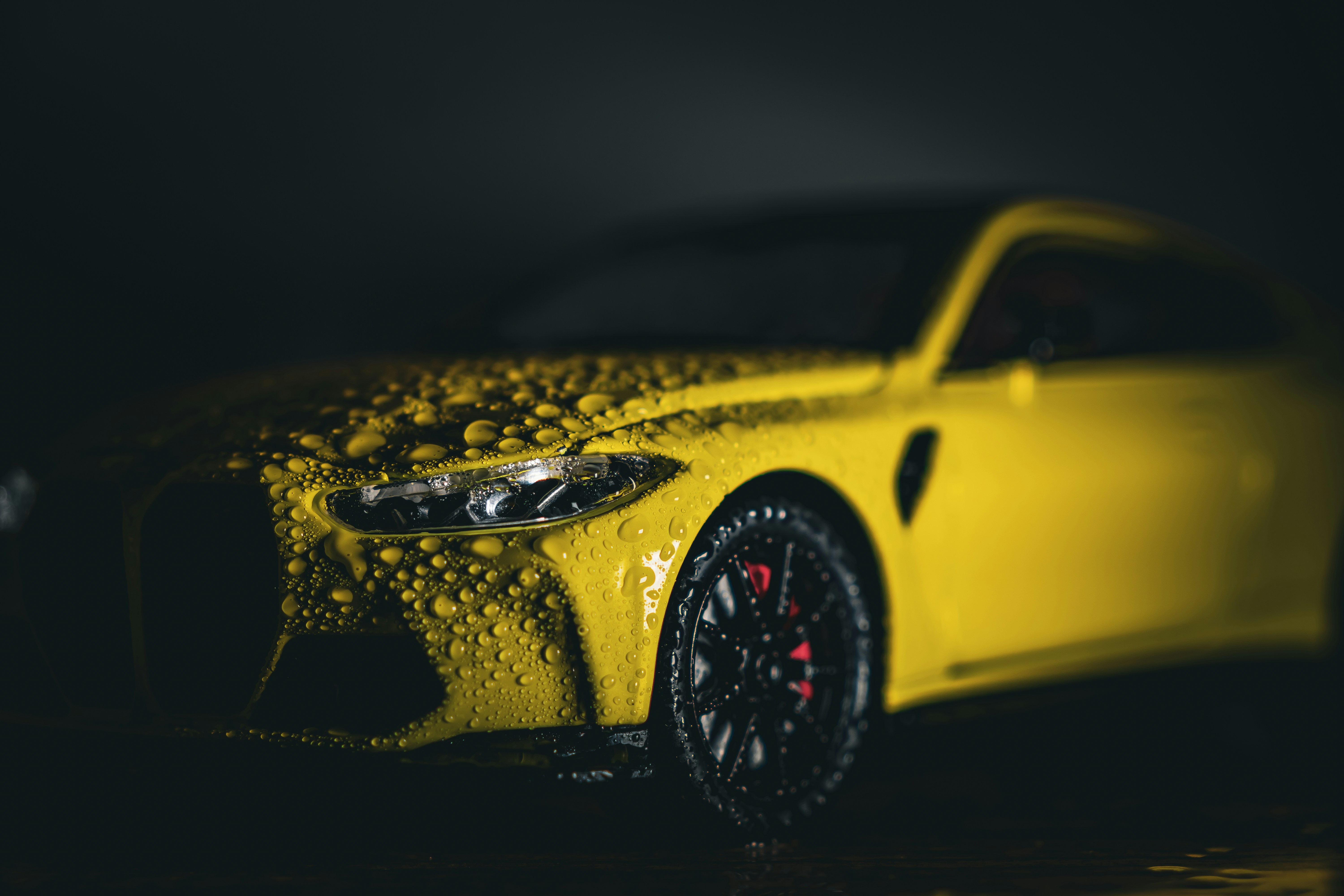 Photo by manishmishra211