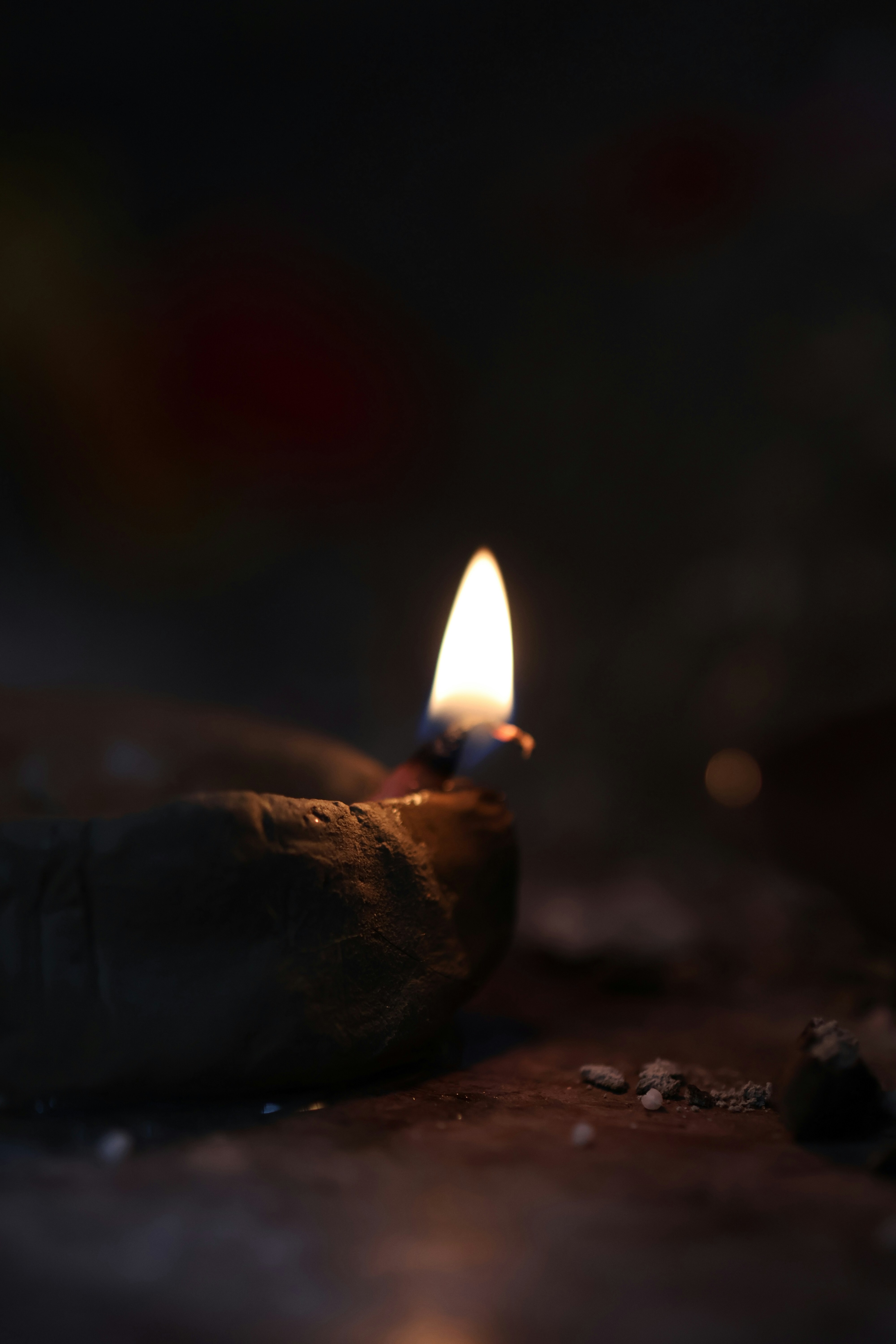 Photo by manishmishra211