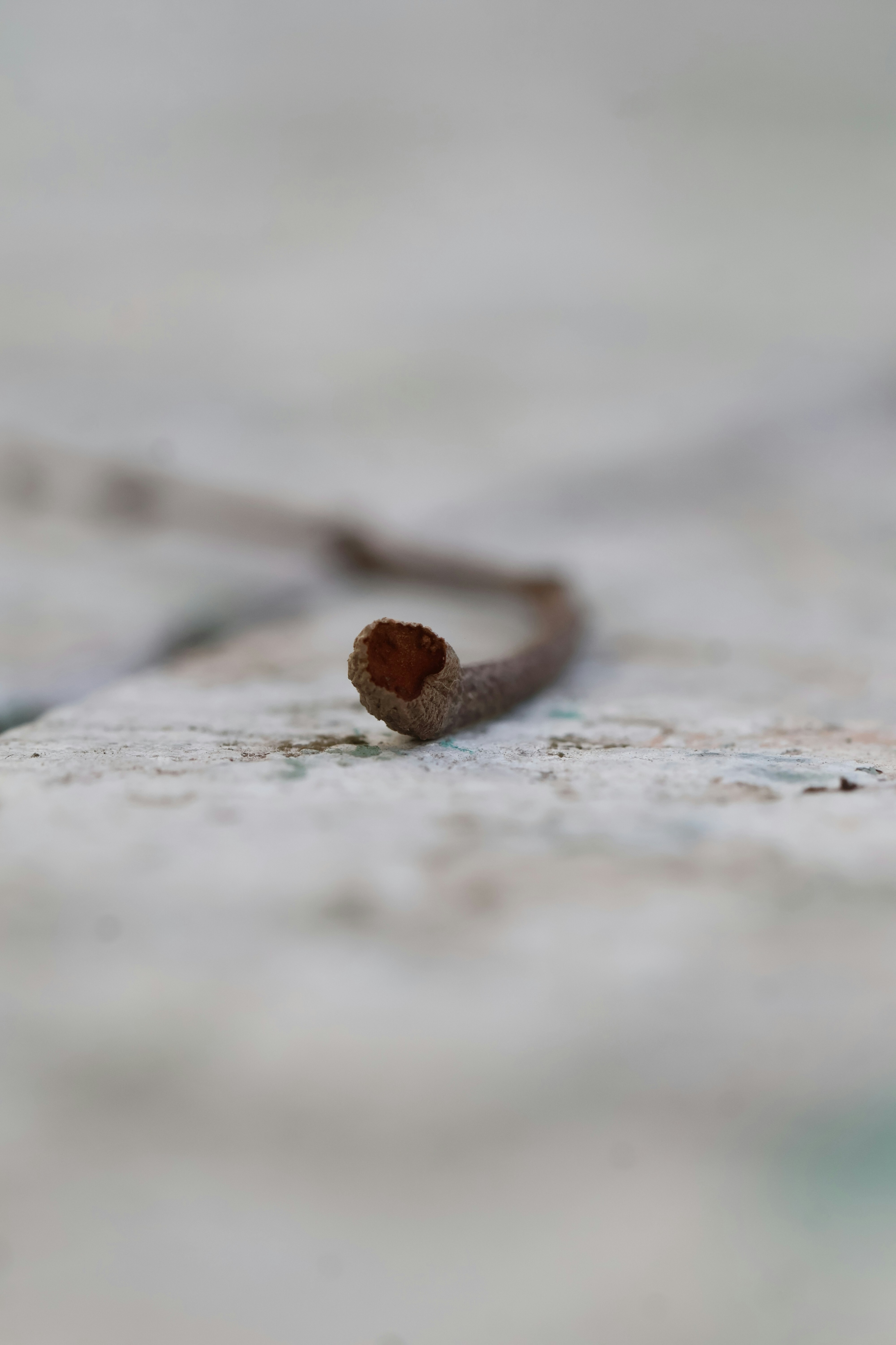 Photo by manishmishra211