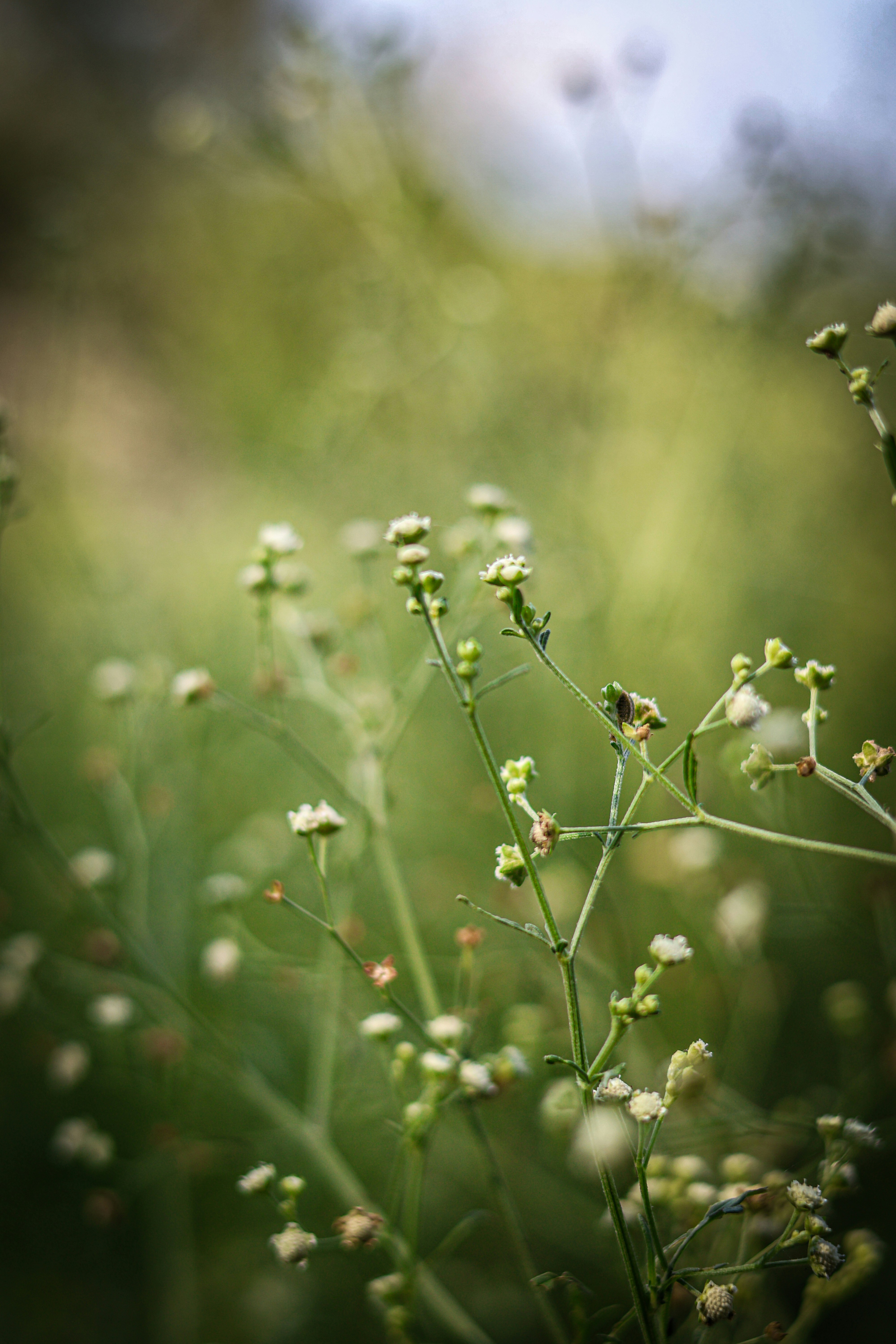 Photo by manishmishra211