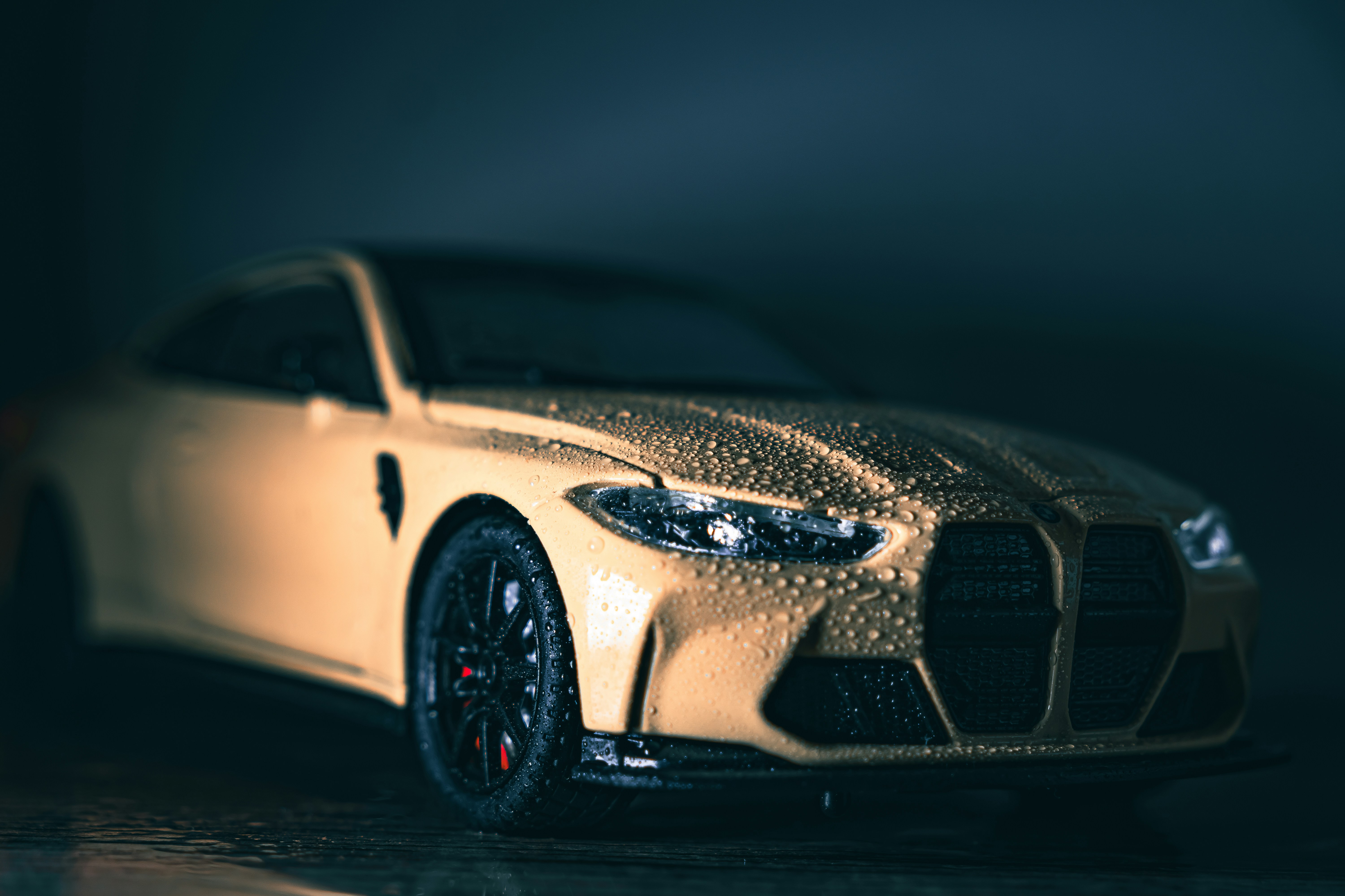 Photo by manishmishra211