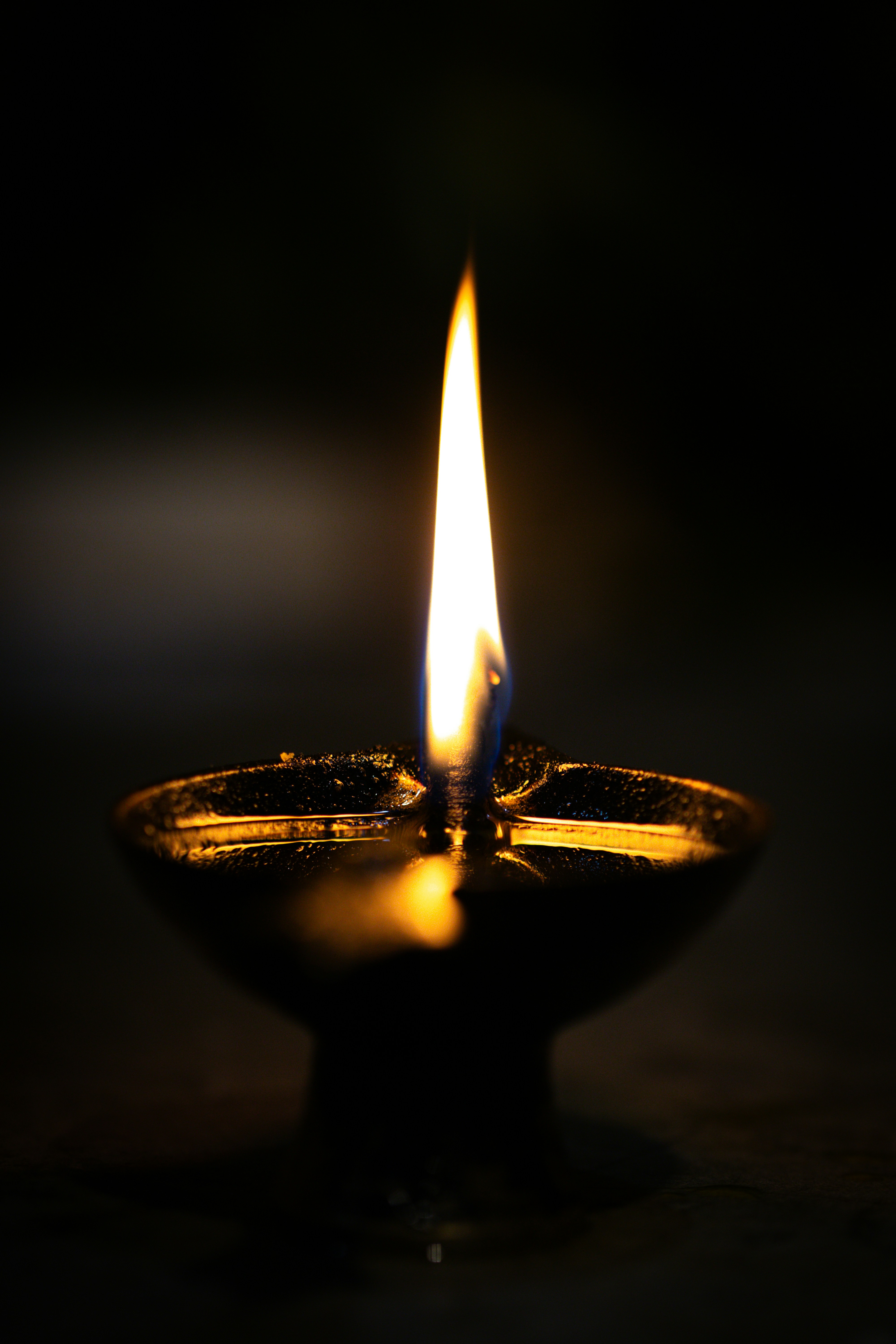 Photo by manishmishra211