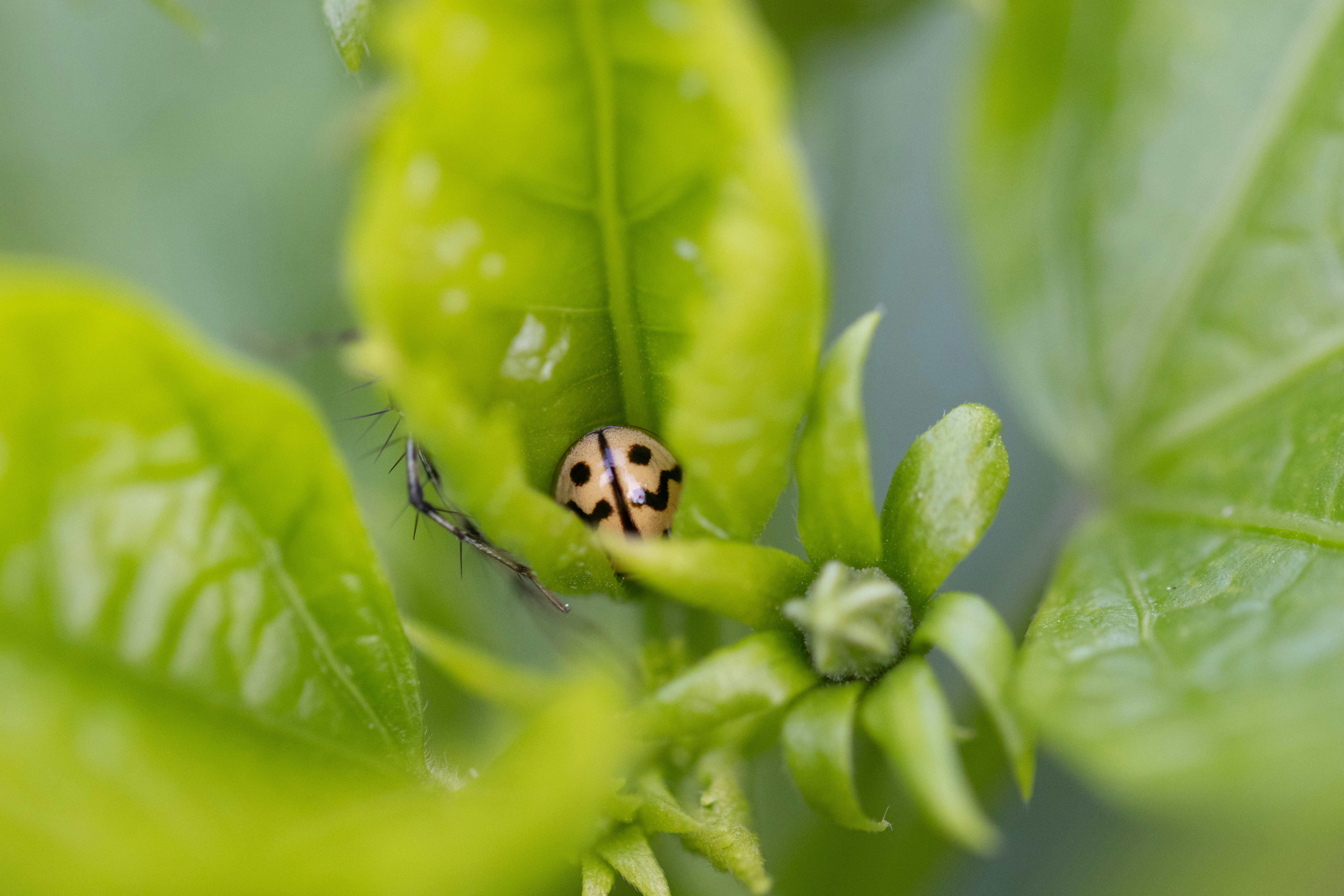 Photo by manishmishra211