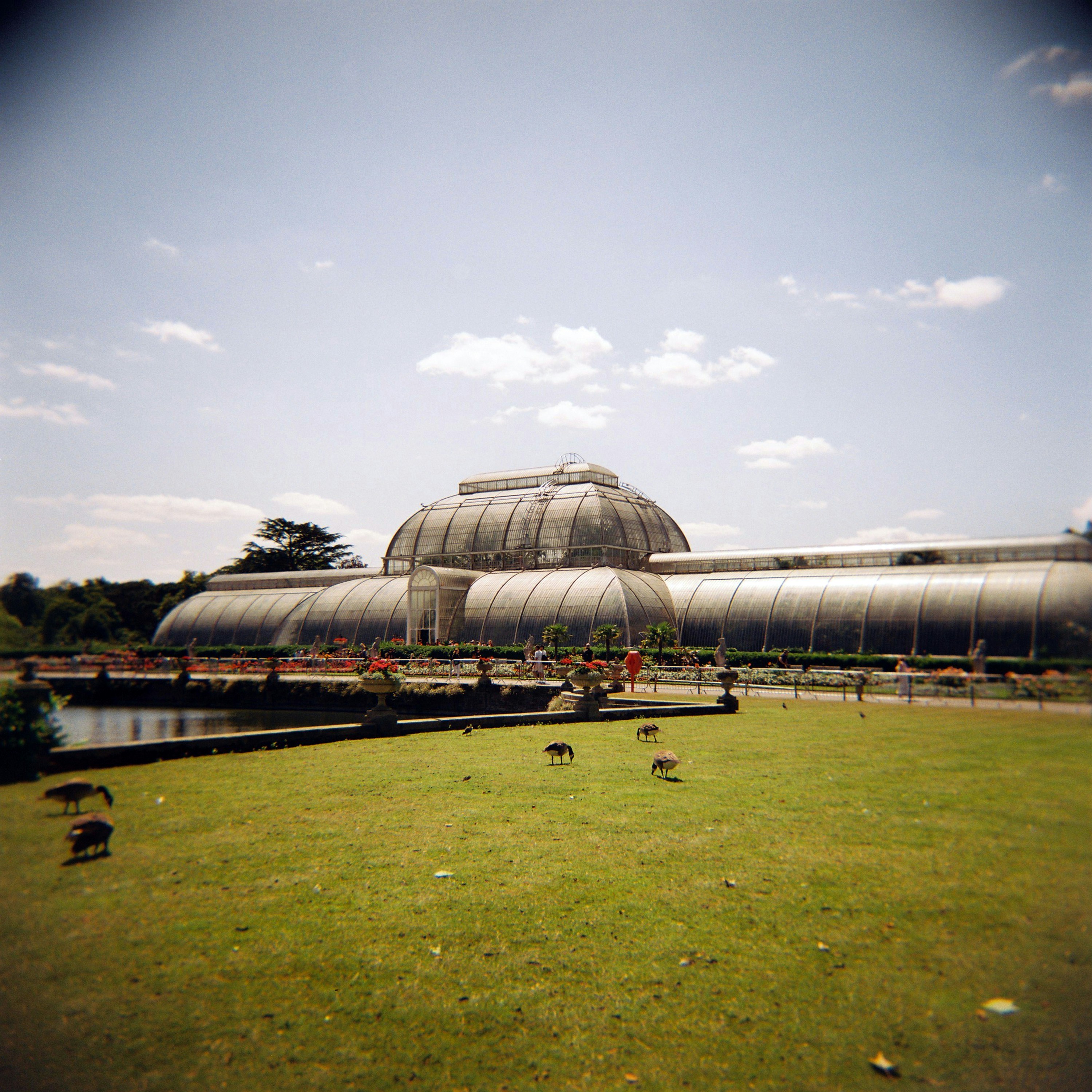 Une serre se dresse fièrement dans un parc ensoleillé.