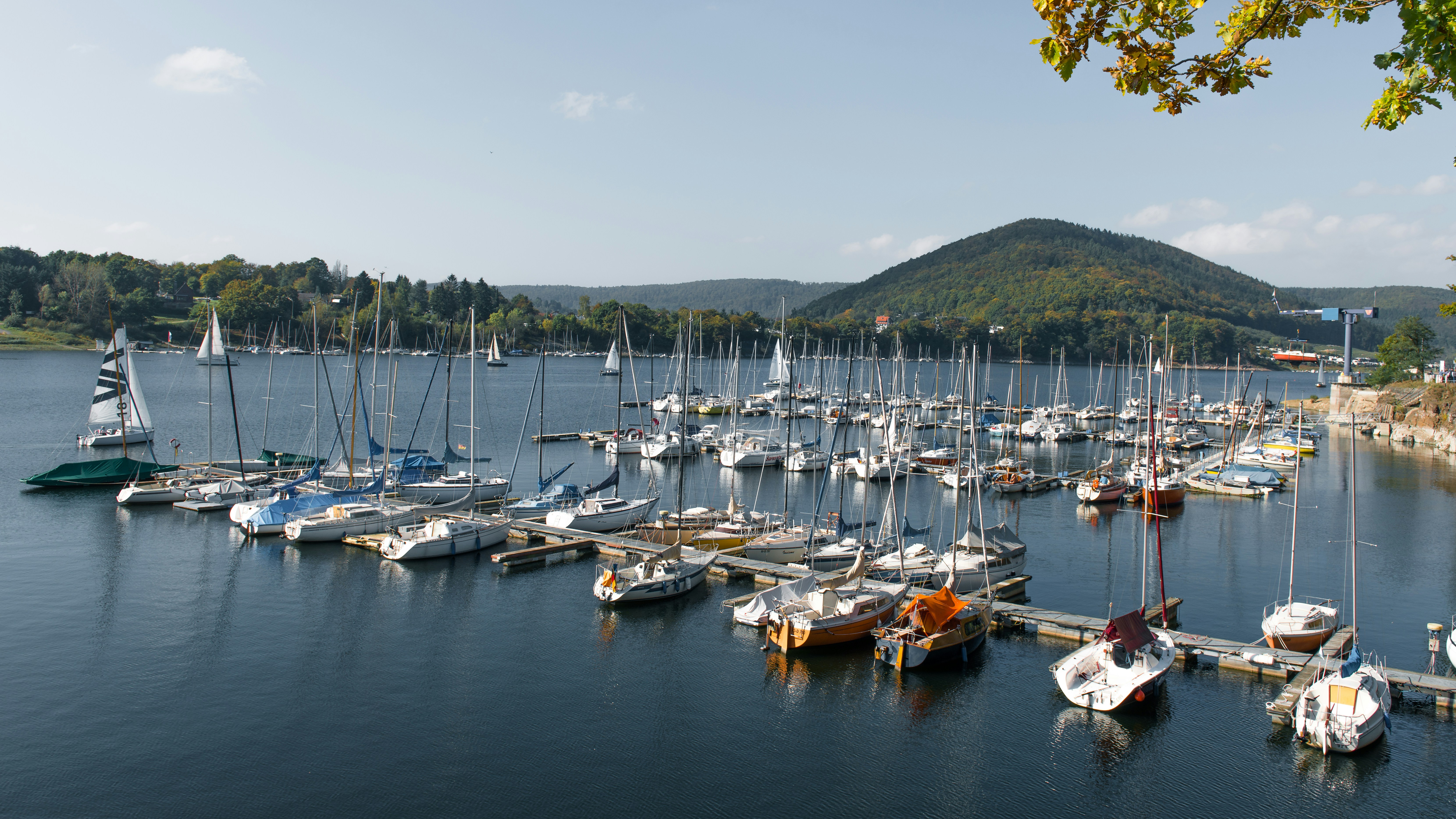 Photo by hamburgmeinefreundin