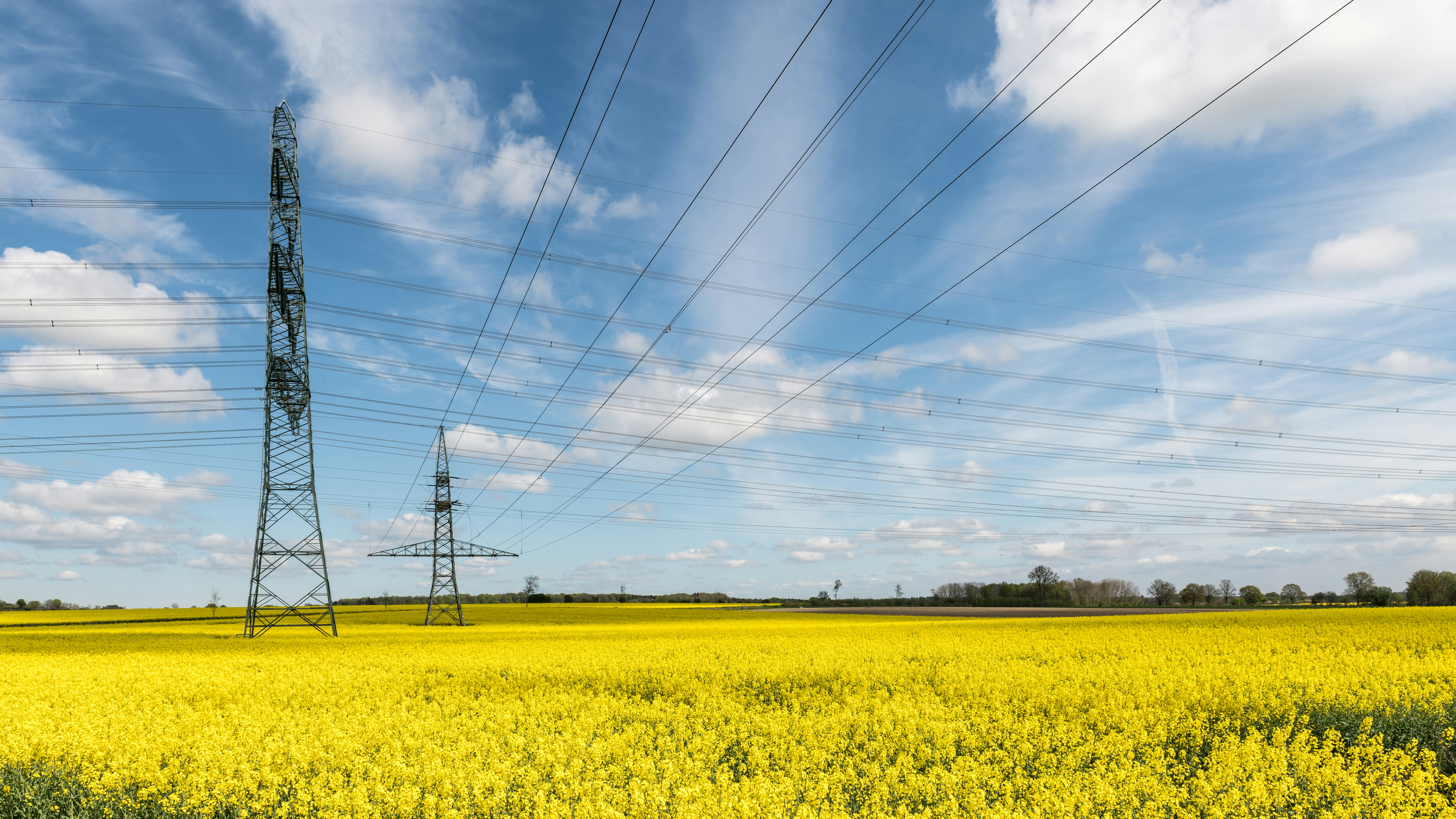 Photo by hamburgmeinefreundin