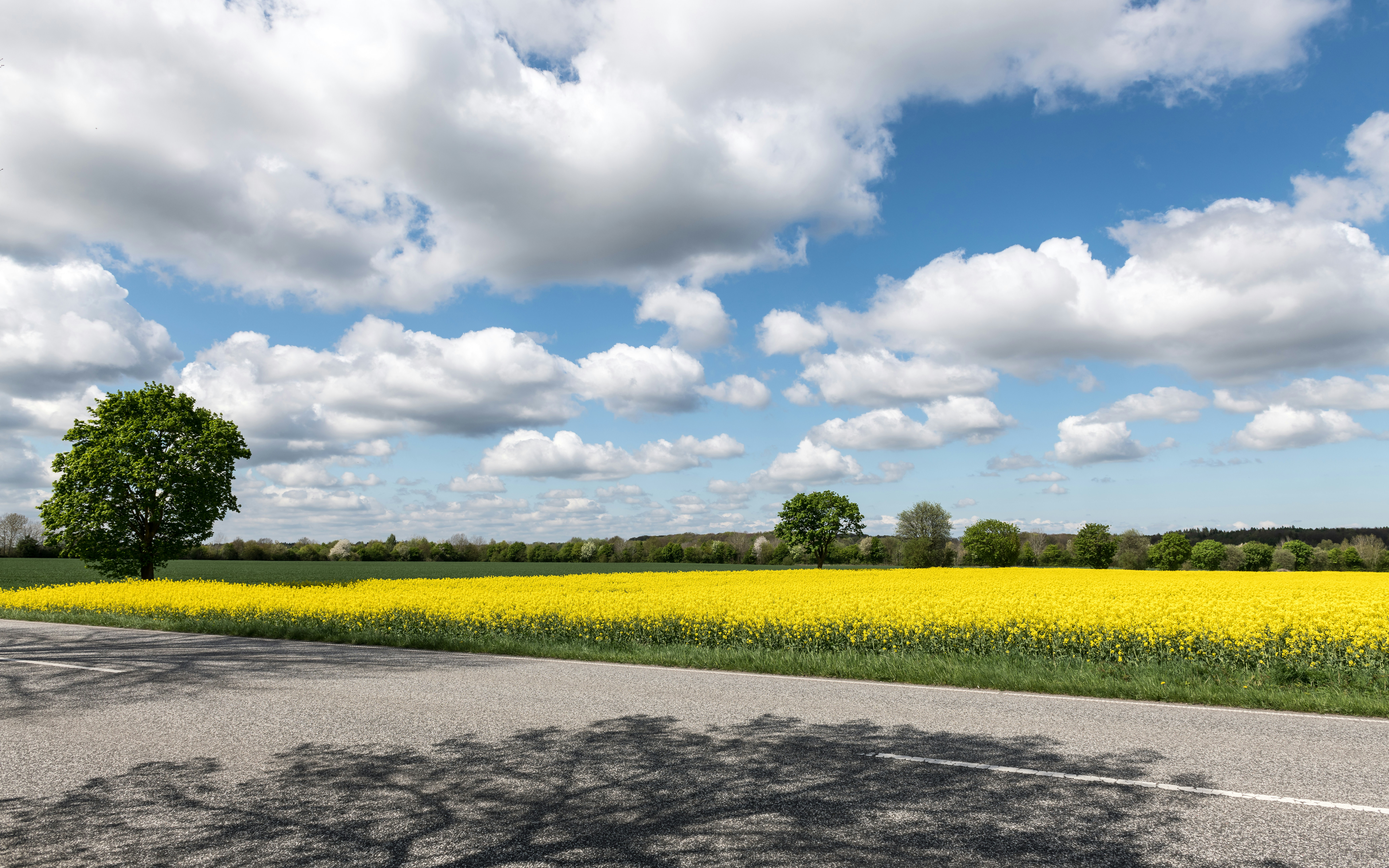 Photo by hamburgmeinefreundin