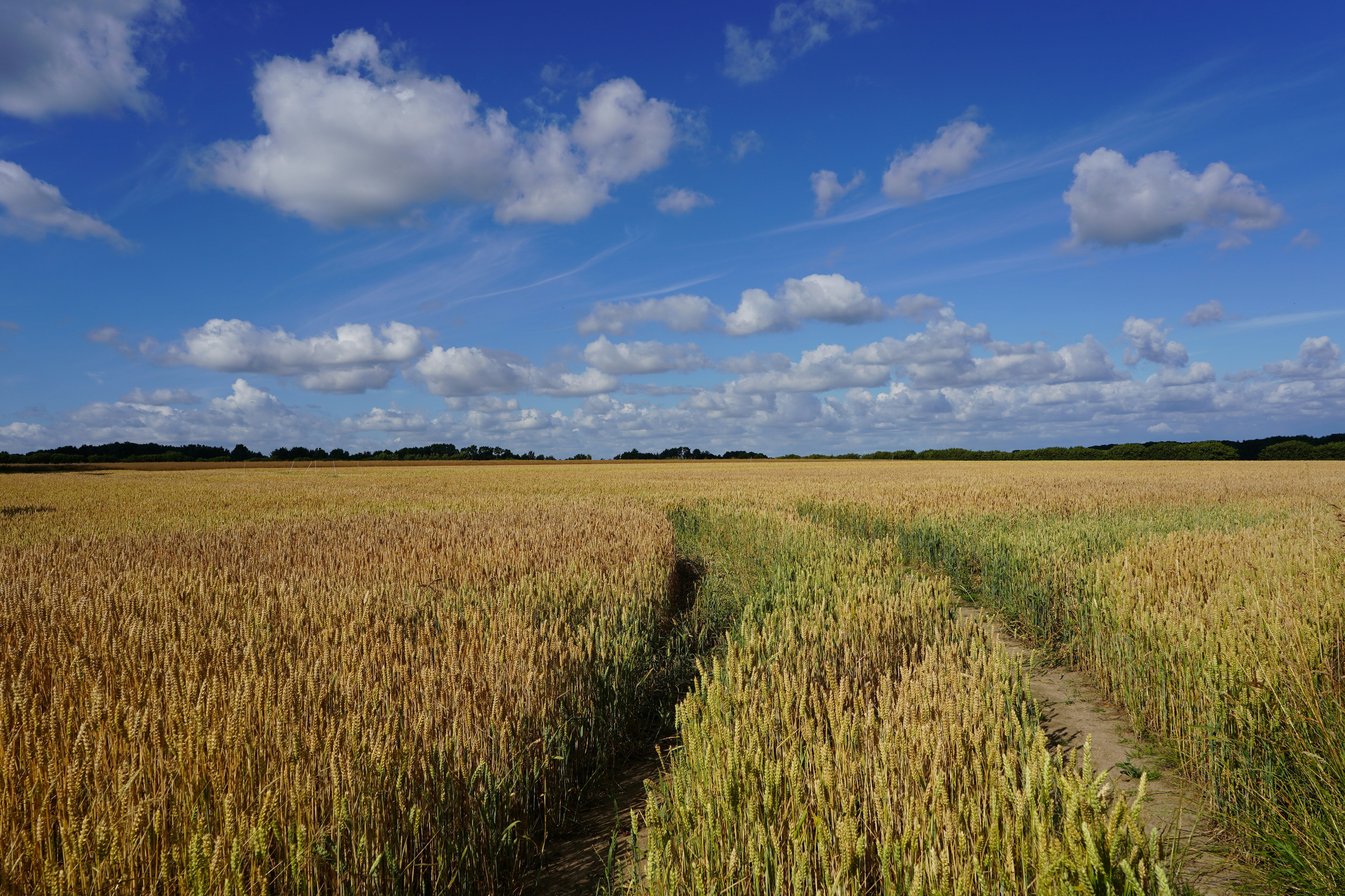 Photo by hamburgmeinefreundin