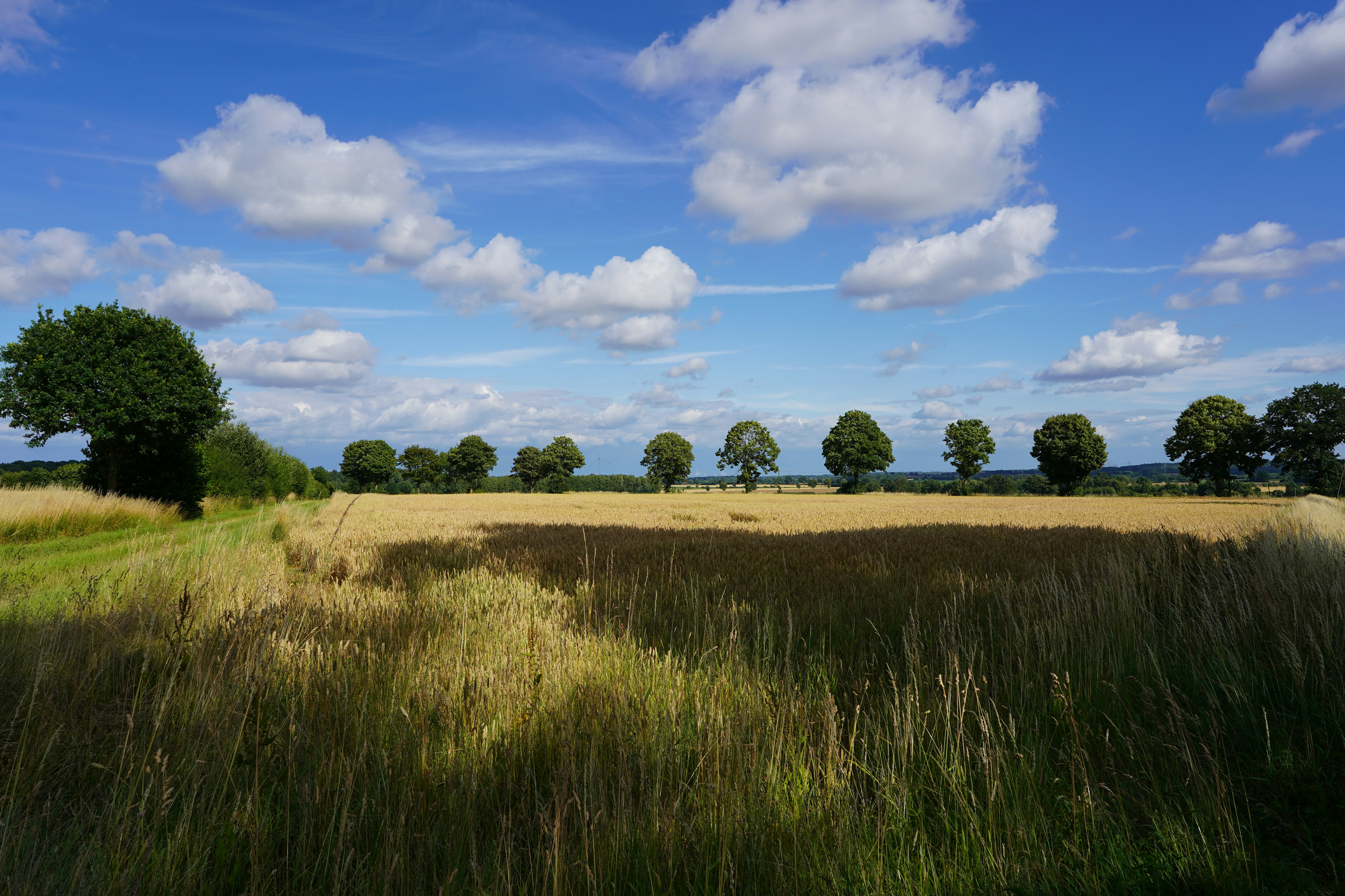 Photo by hamburgmeinefreundin