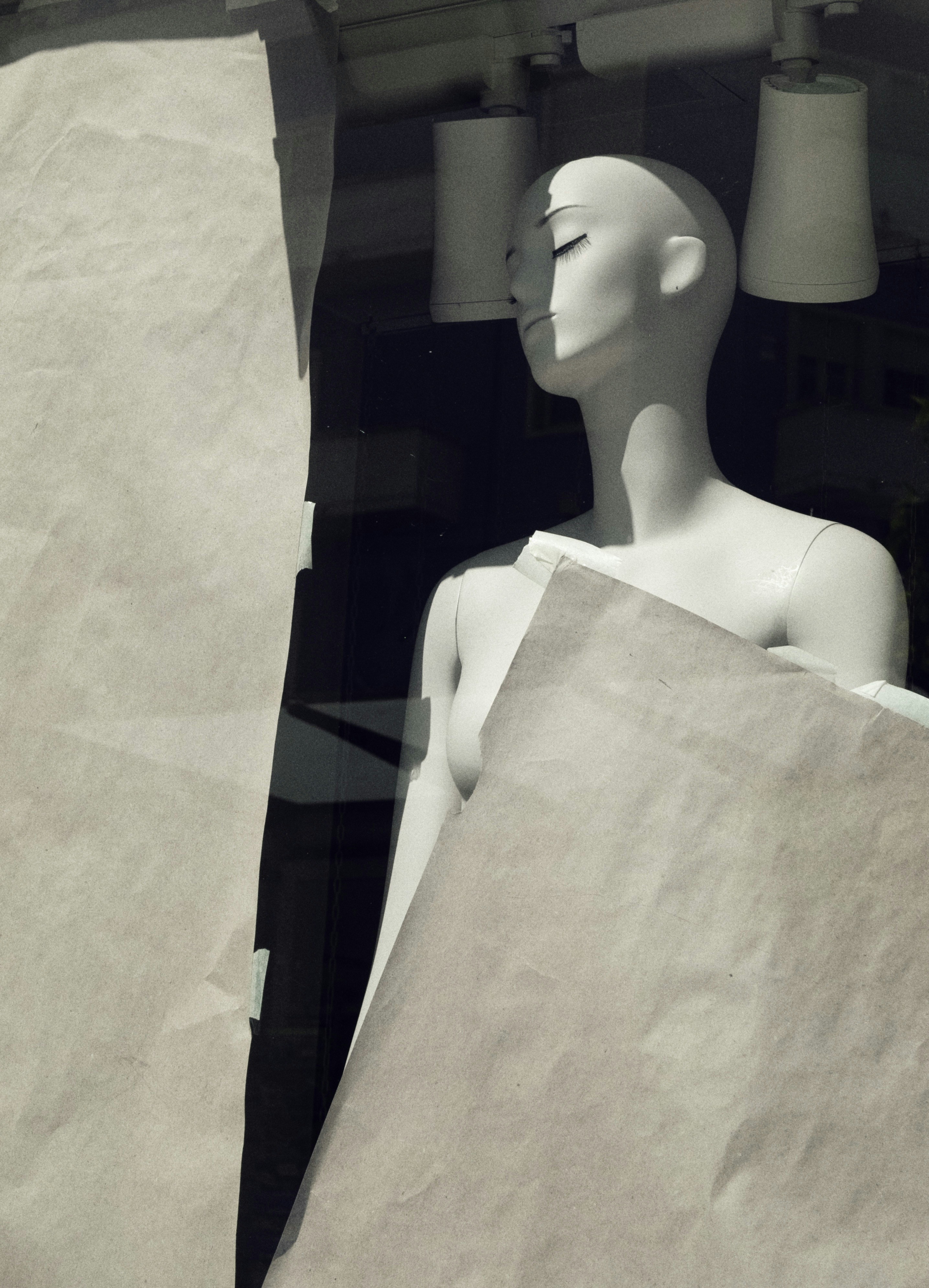 Photo by noelephantsflying