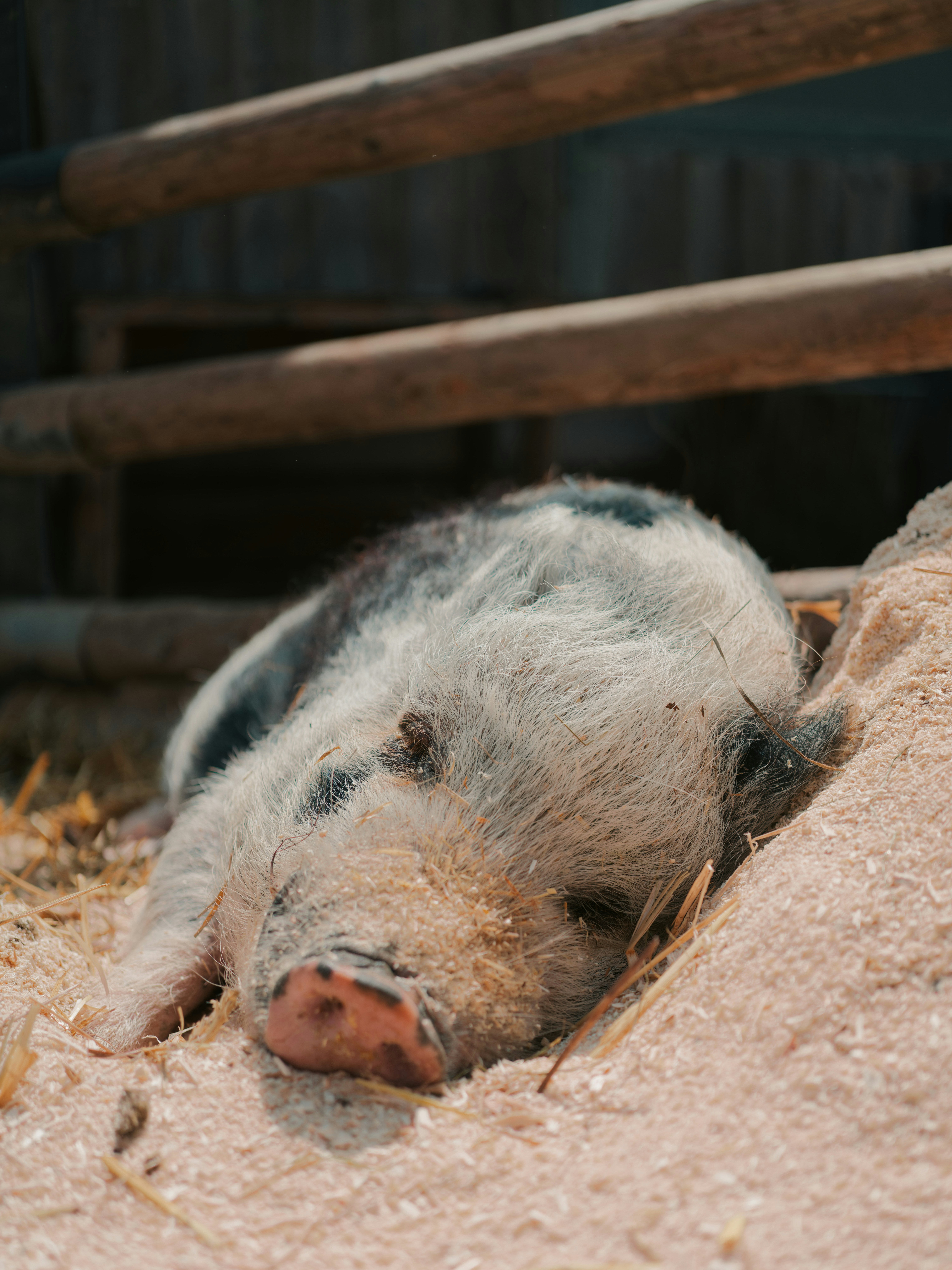 Photo by simon_berger