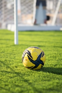 Soccer ball sits on the green field.