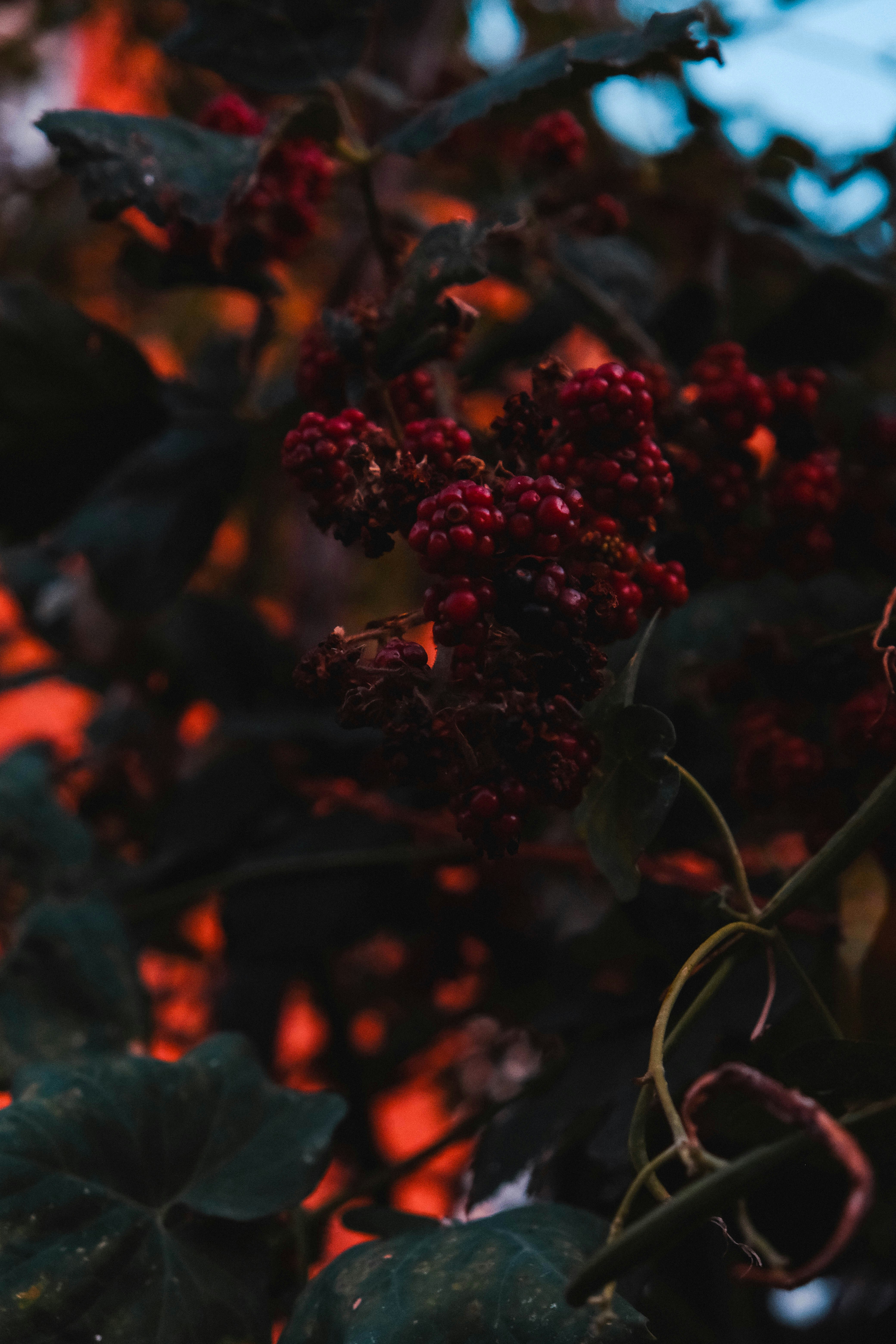 Photo by elenasizontseva