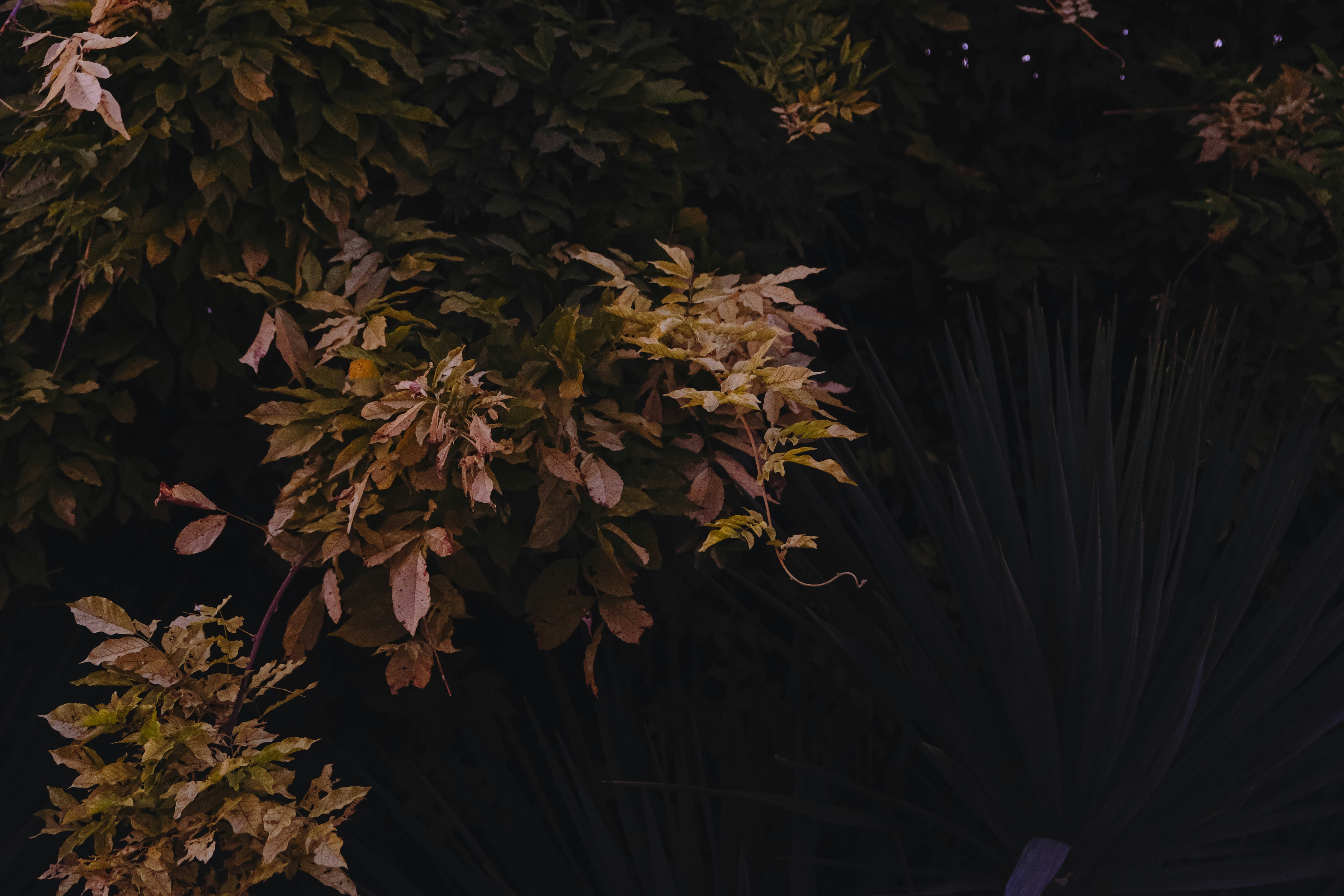 Photo by elenasizontseva