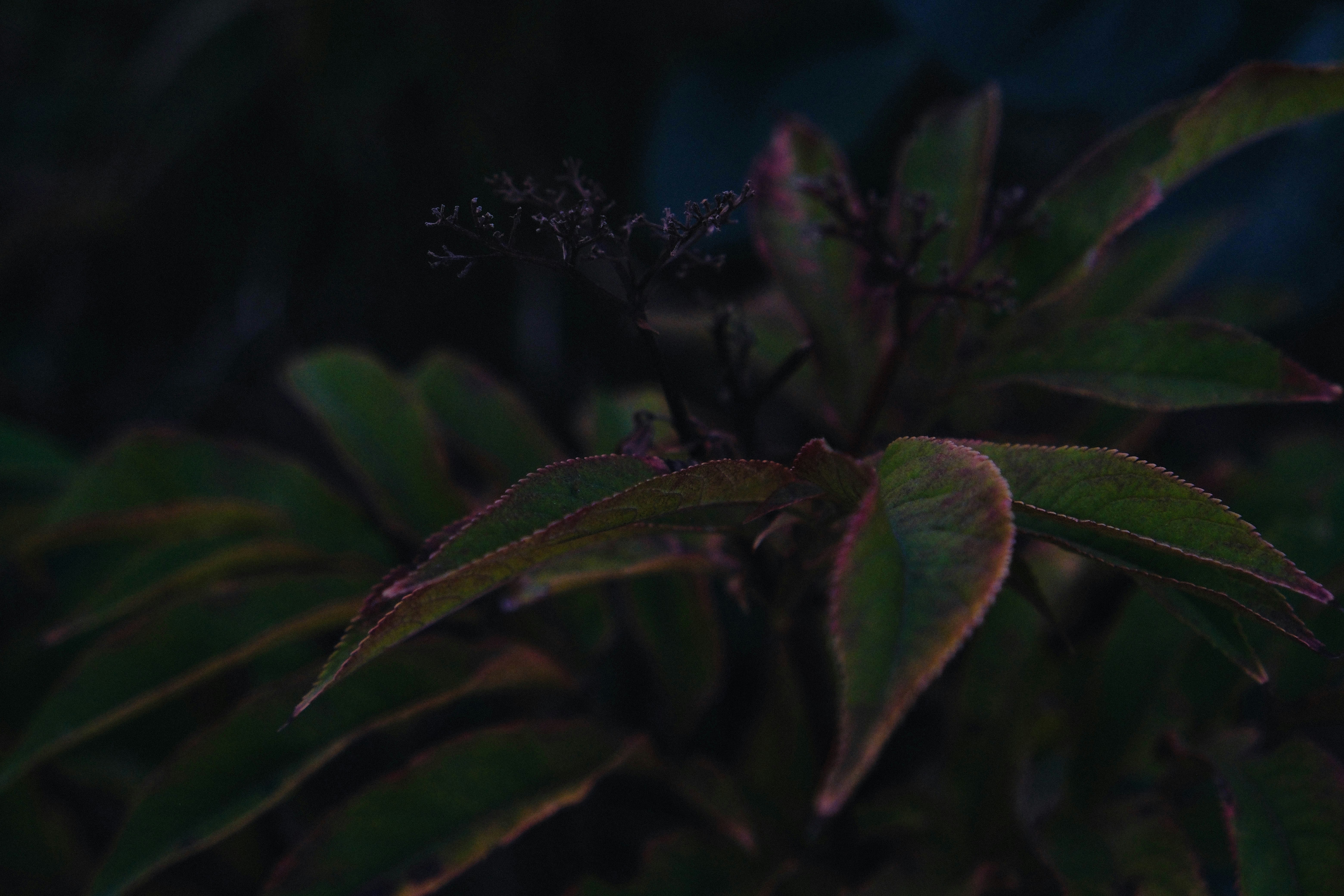 Photo by elenasizontseva