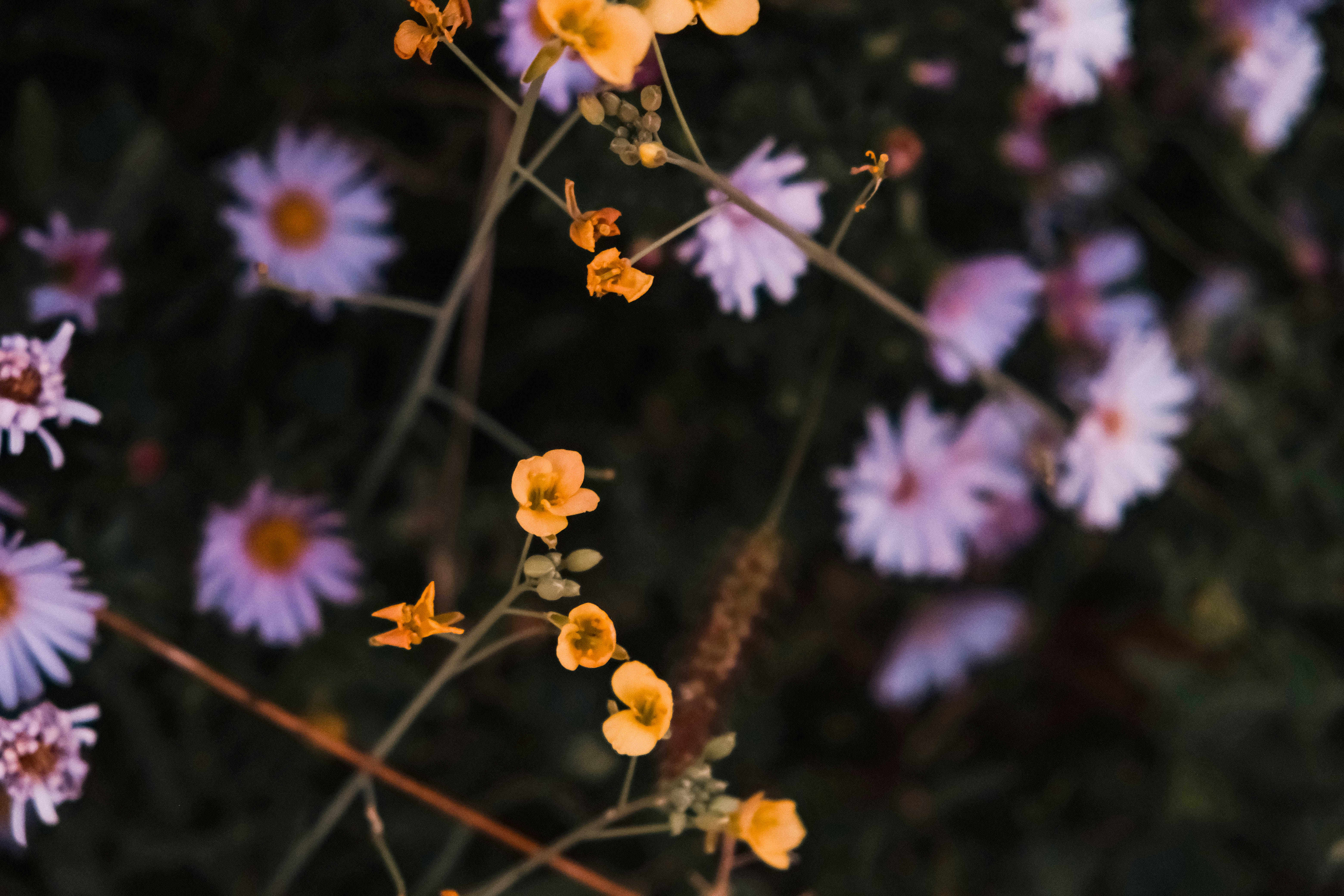 Photo by elenasizontseva