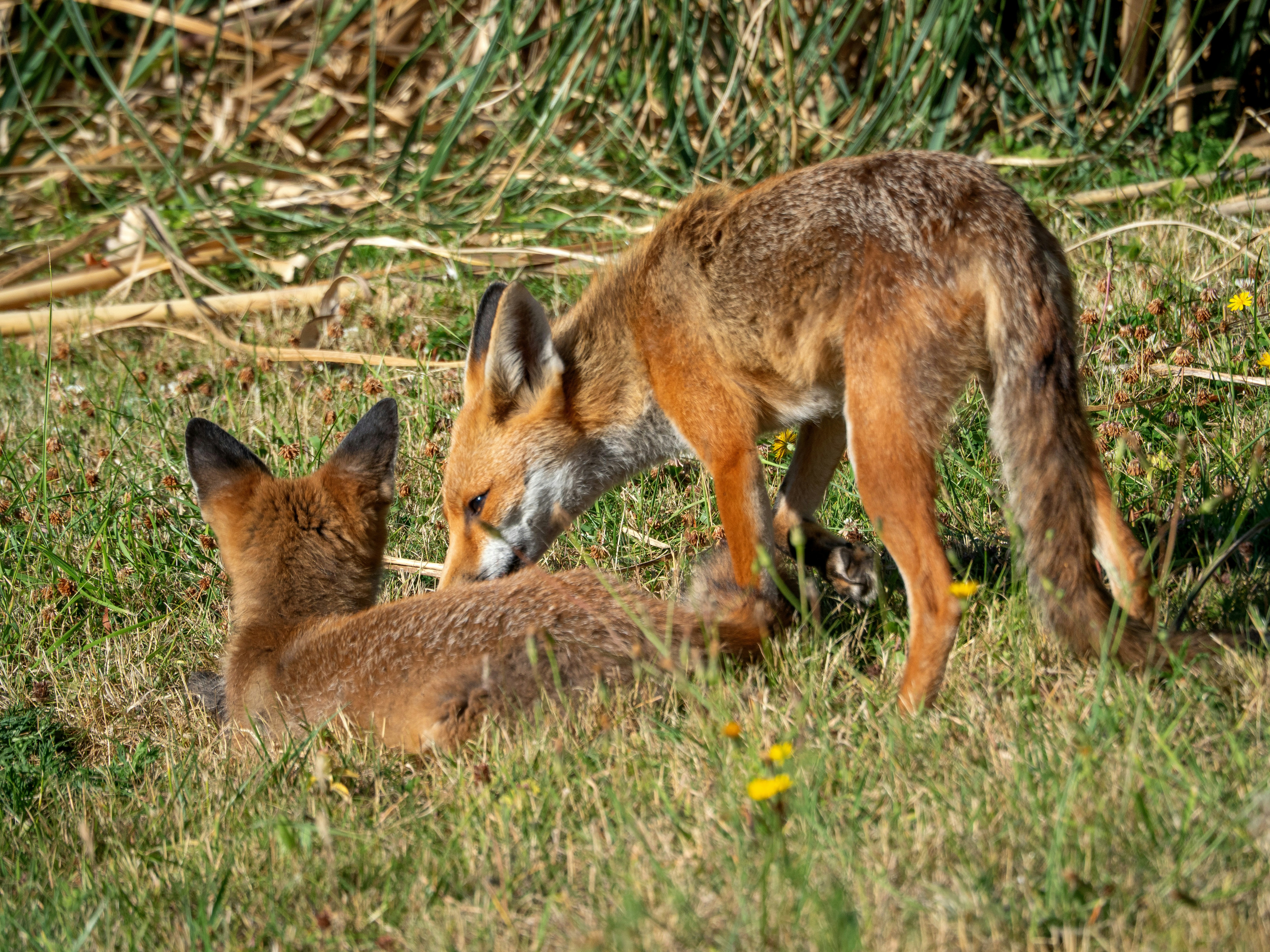 Photo by brett_jordan