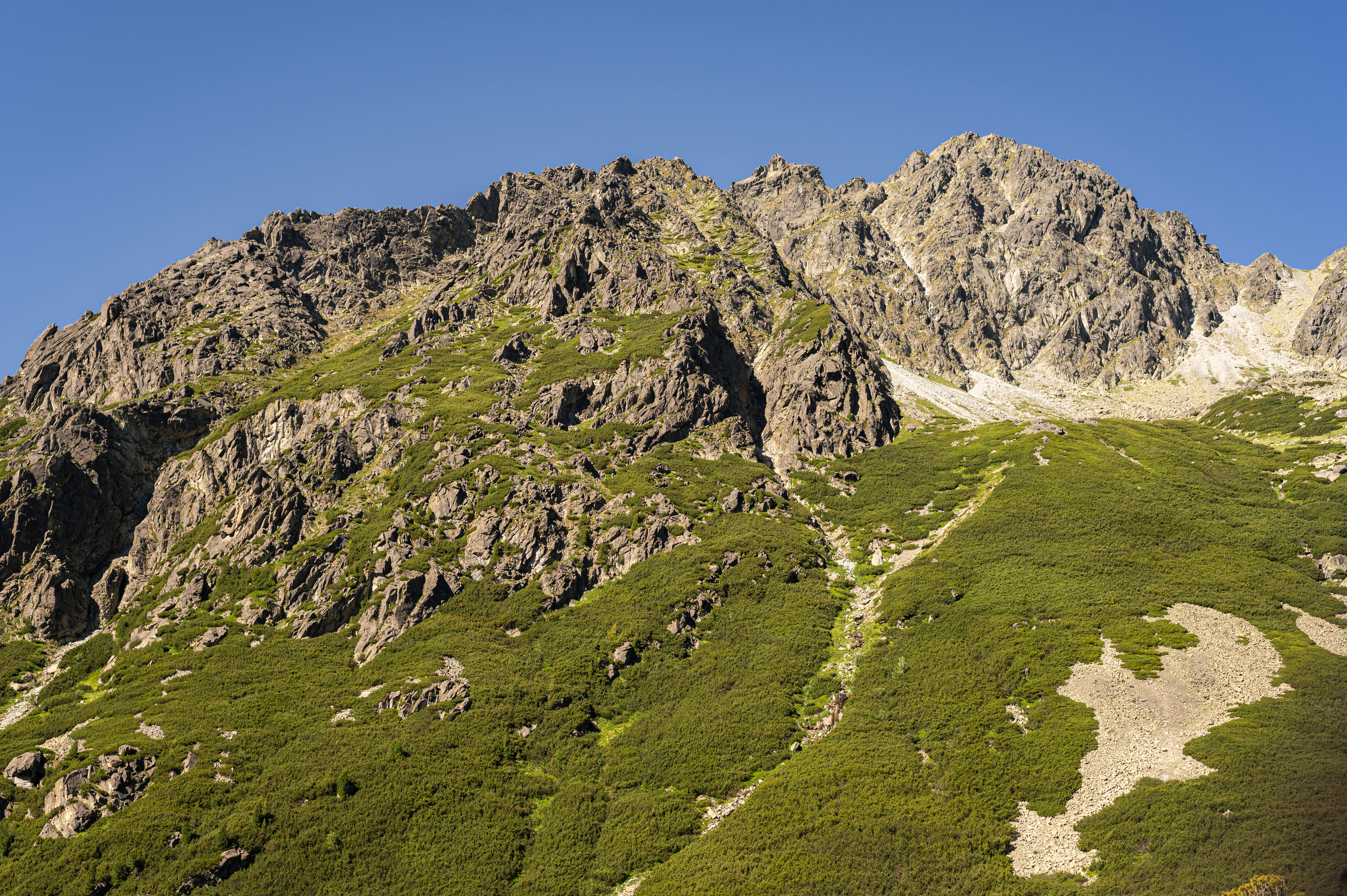 Photo by alexandra_p_d