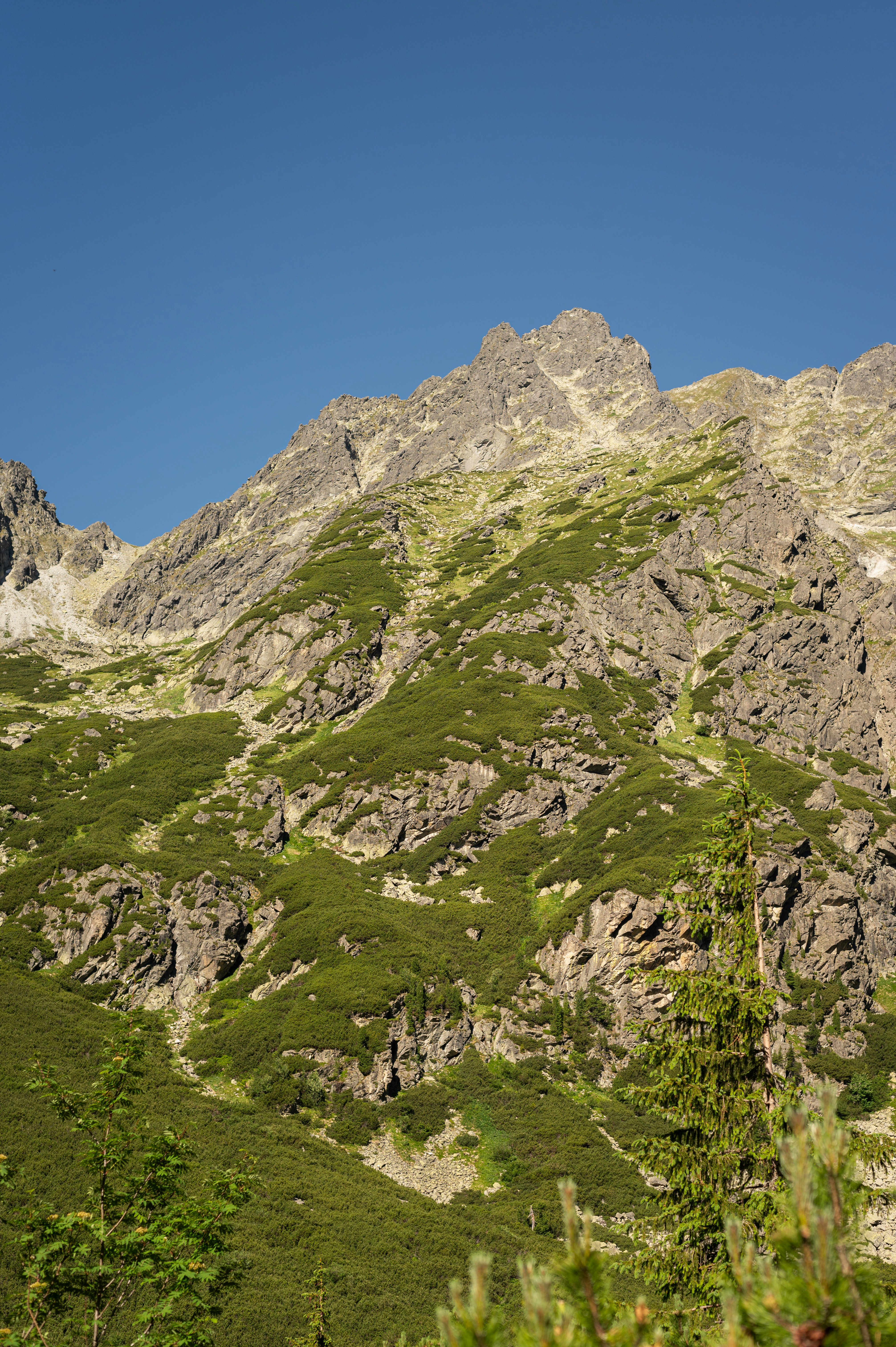 Photo by alexandra_p_d