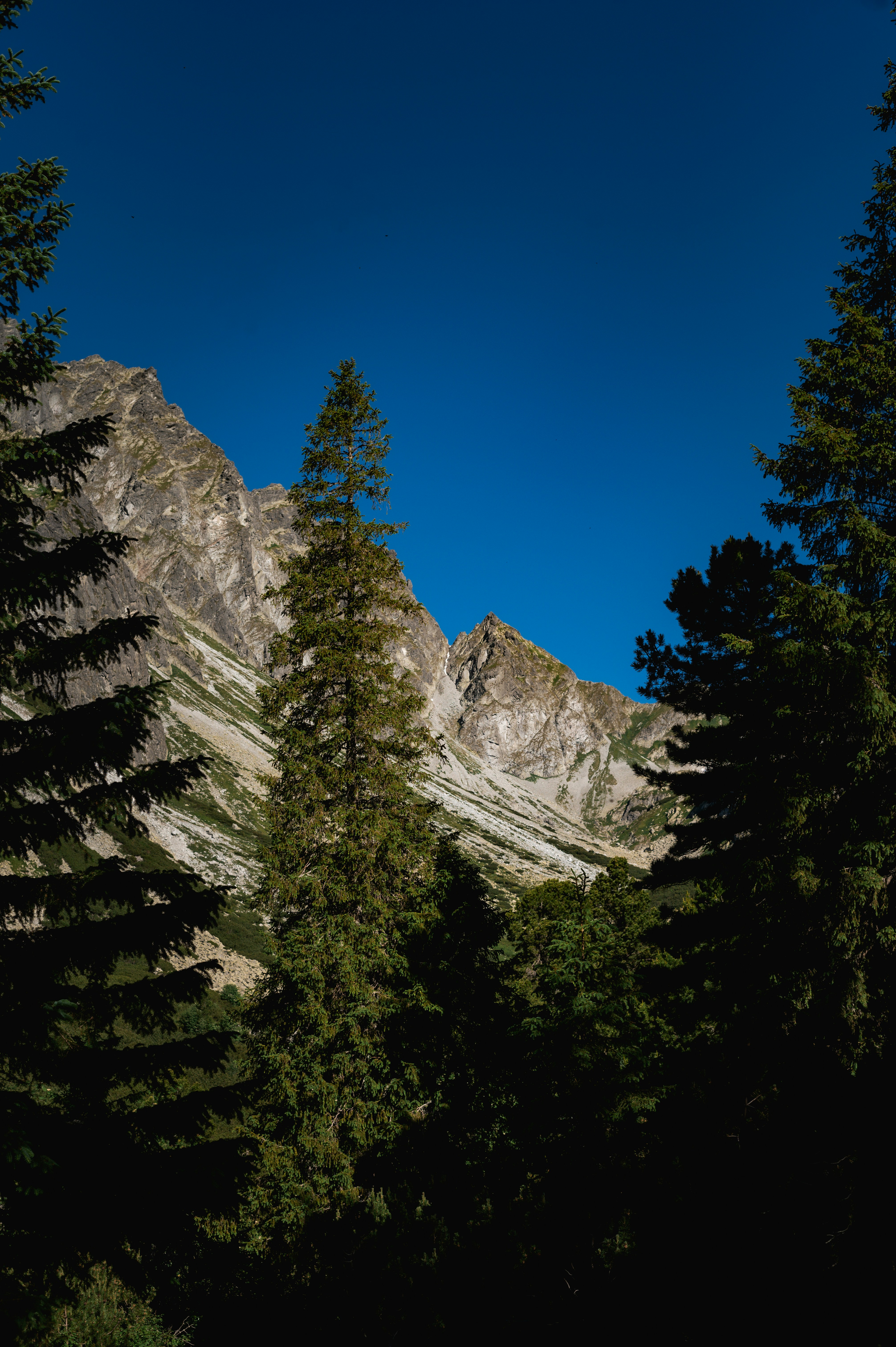 Photo by alexandra_p_d