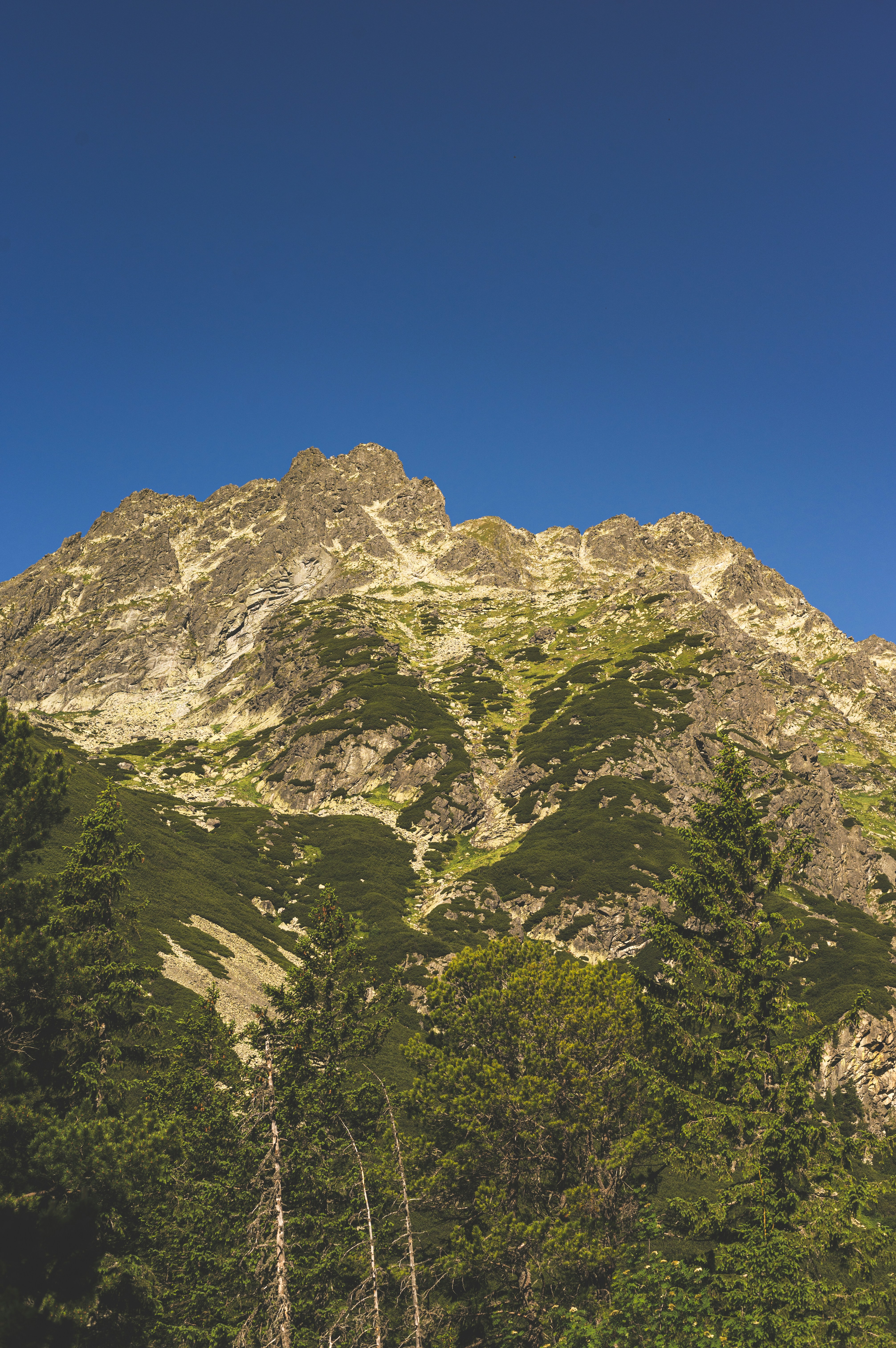 Photo by alexandra_p_d