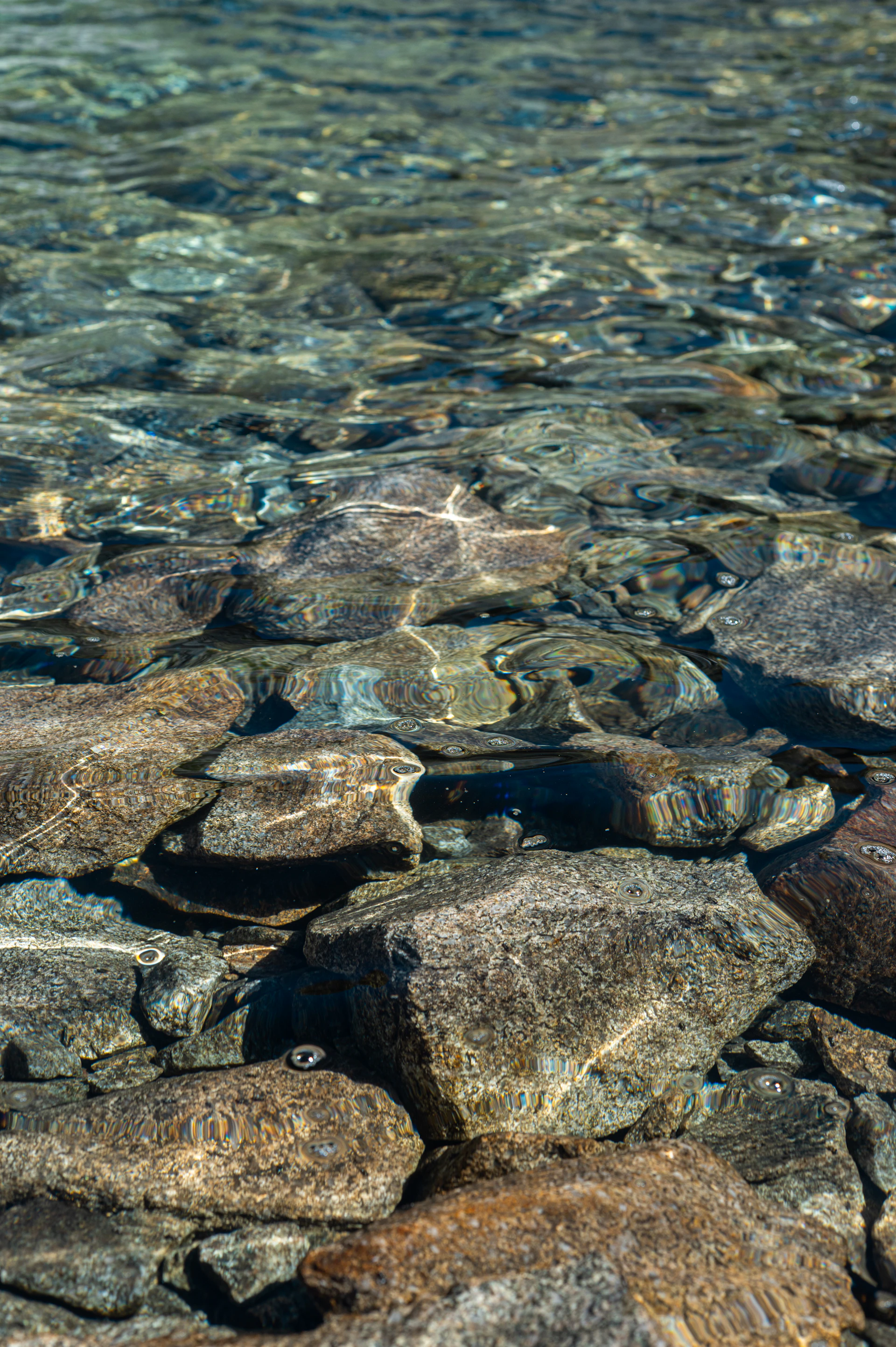 Water reflects sunlight on submerged rocks.