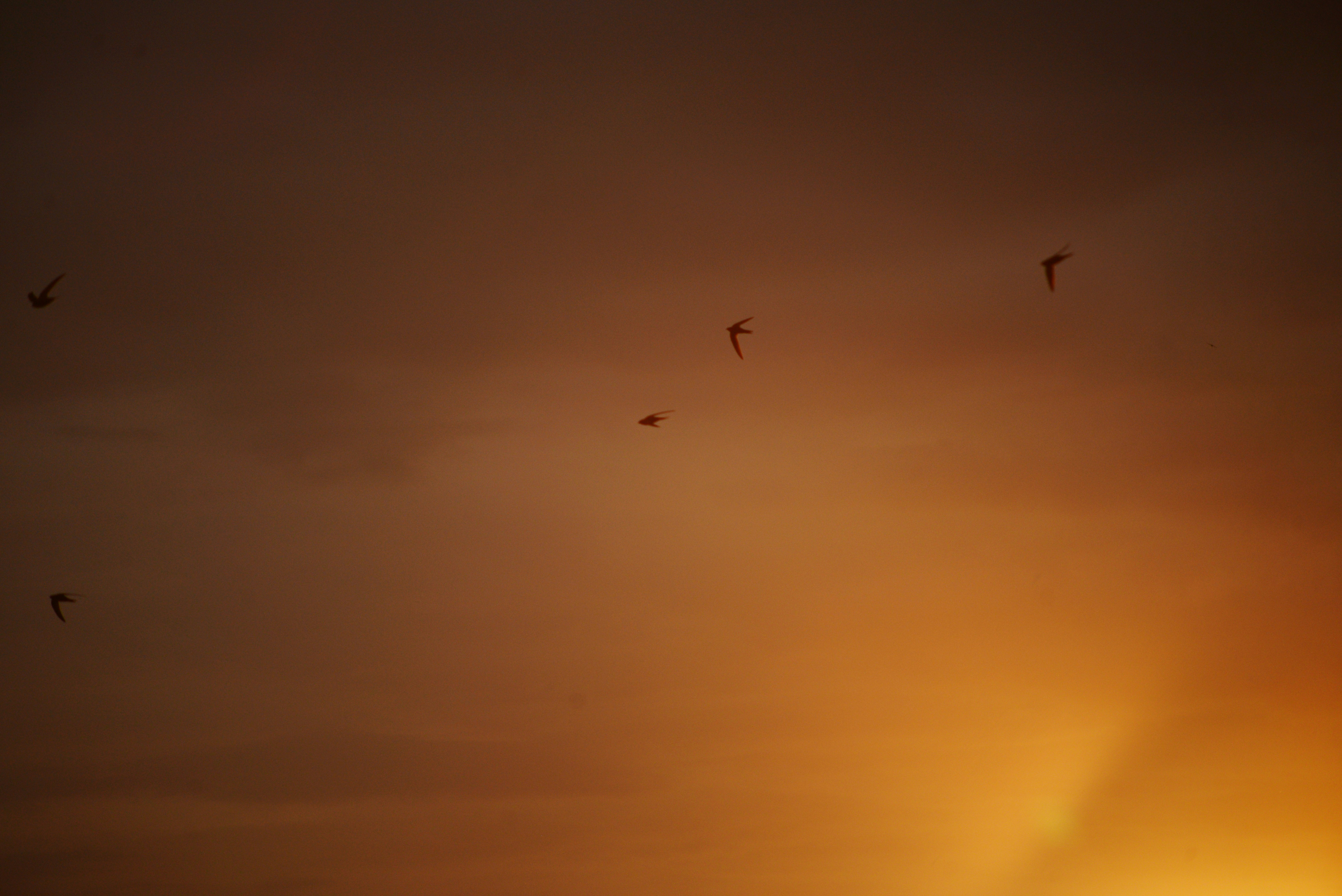 Photo by cherstve_pechivo