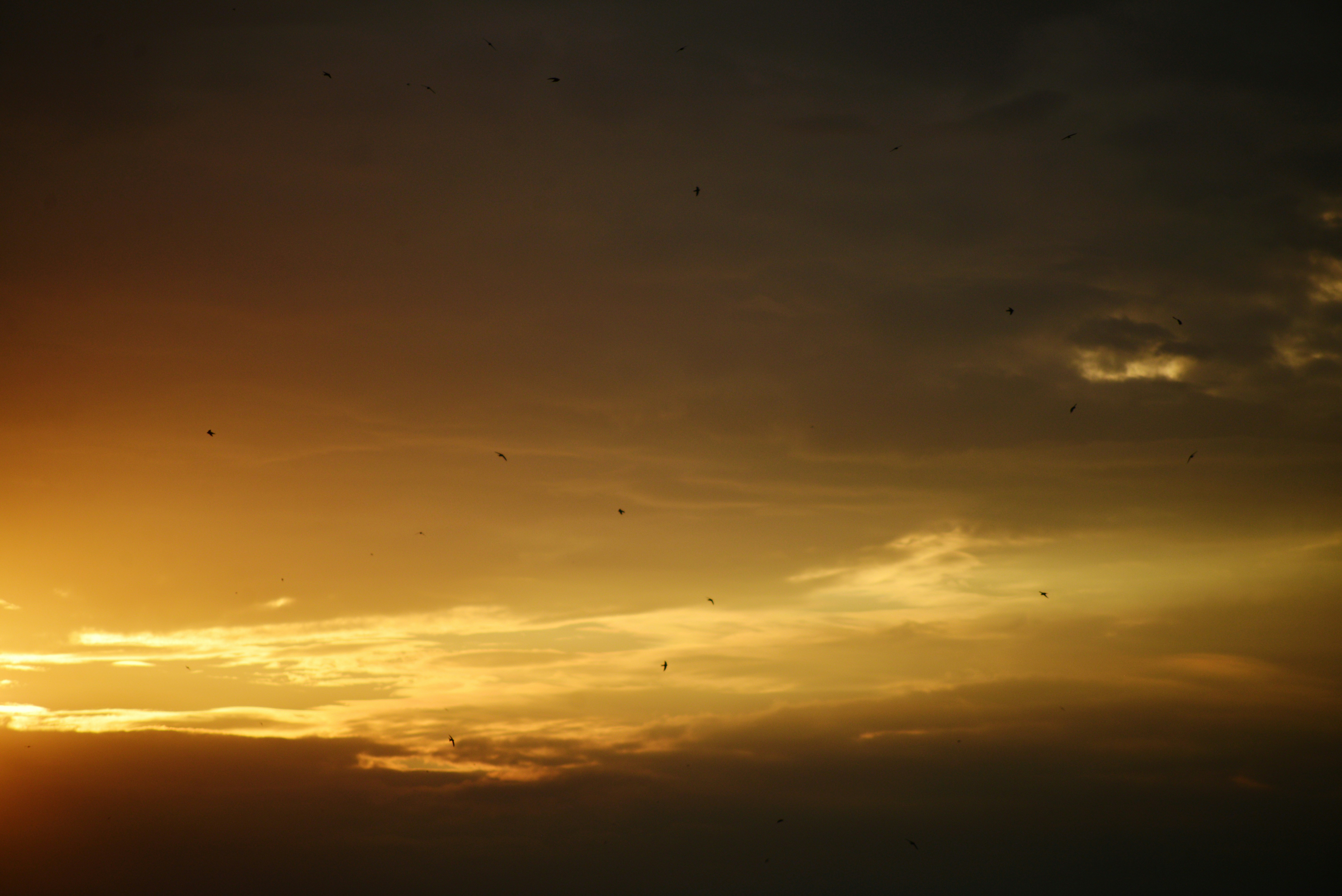 Photo by cherstve_pechivo