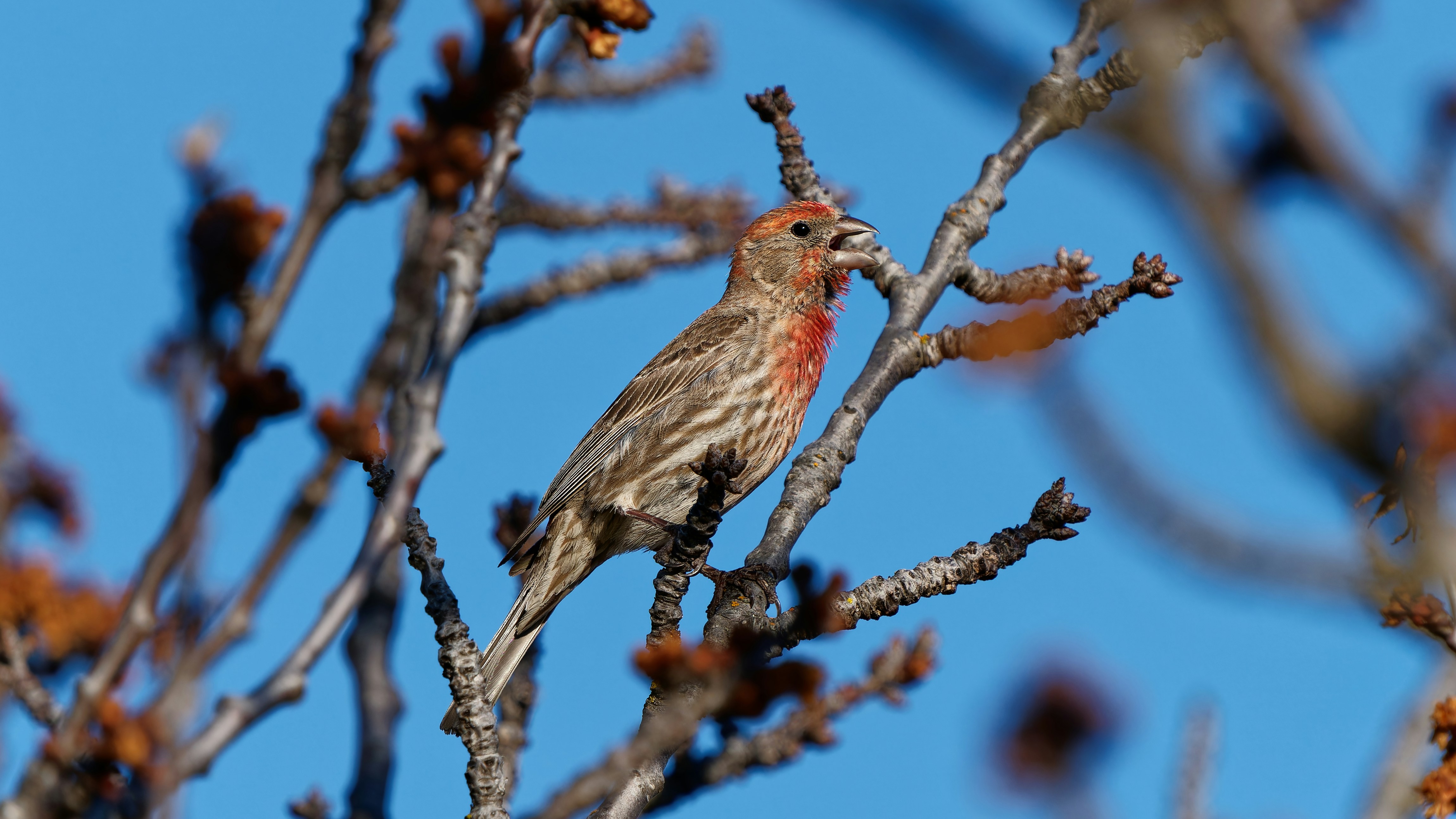 Photo by patrickbigelow_zoom_in