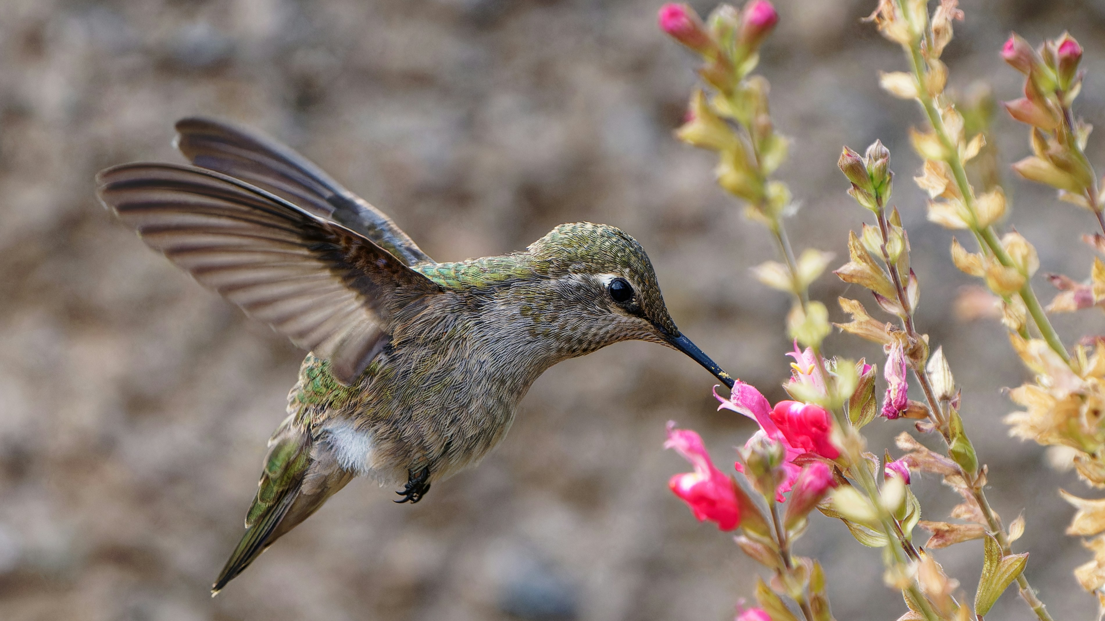 Photo by patrickbigelow_zoom_in