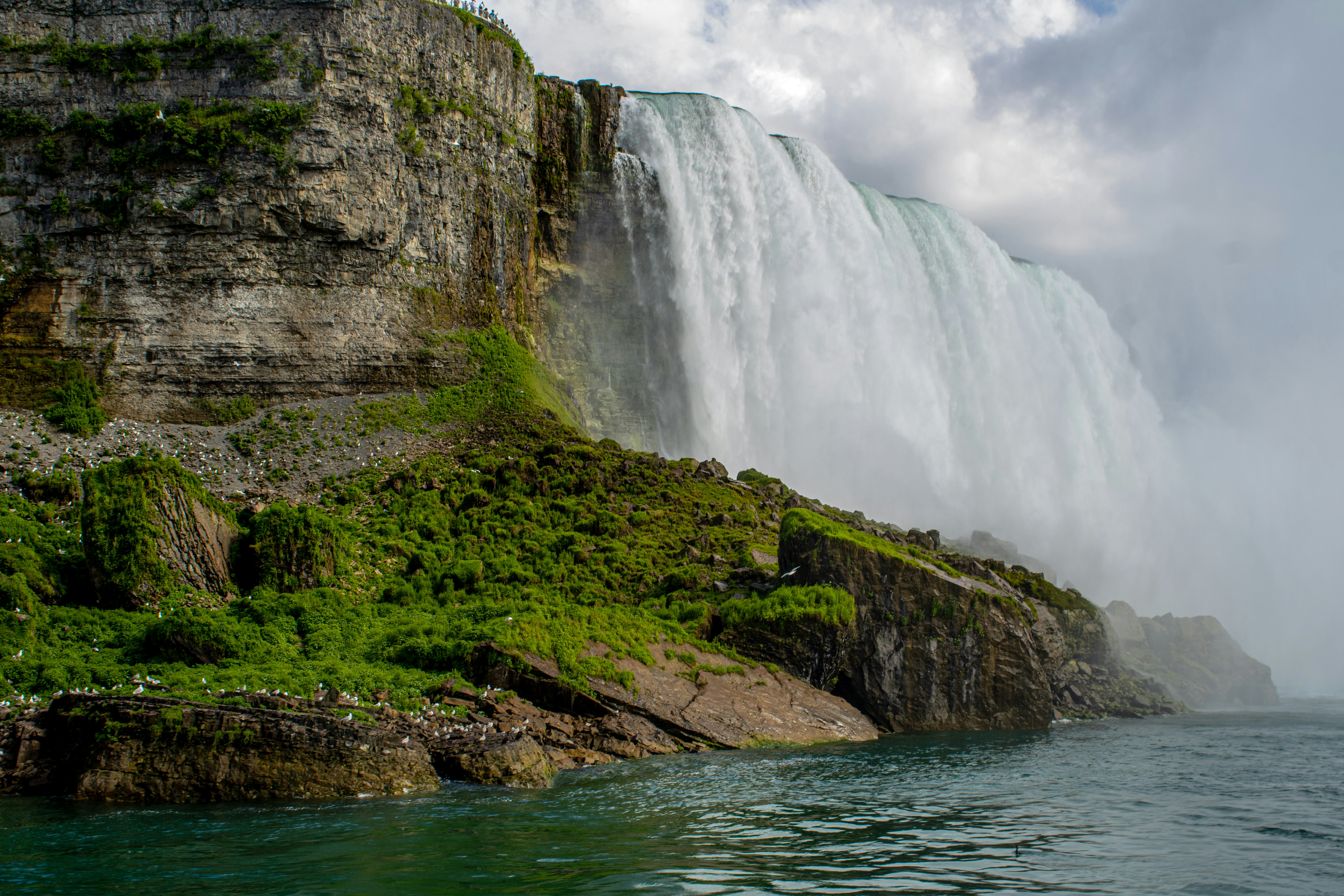 Photo by jennygasoline