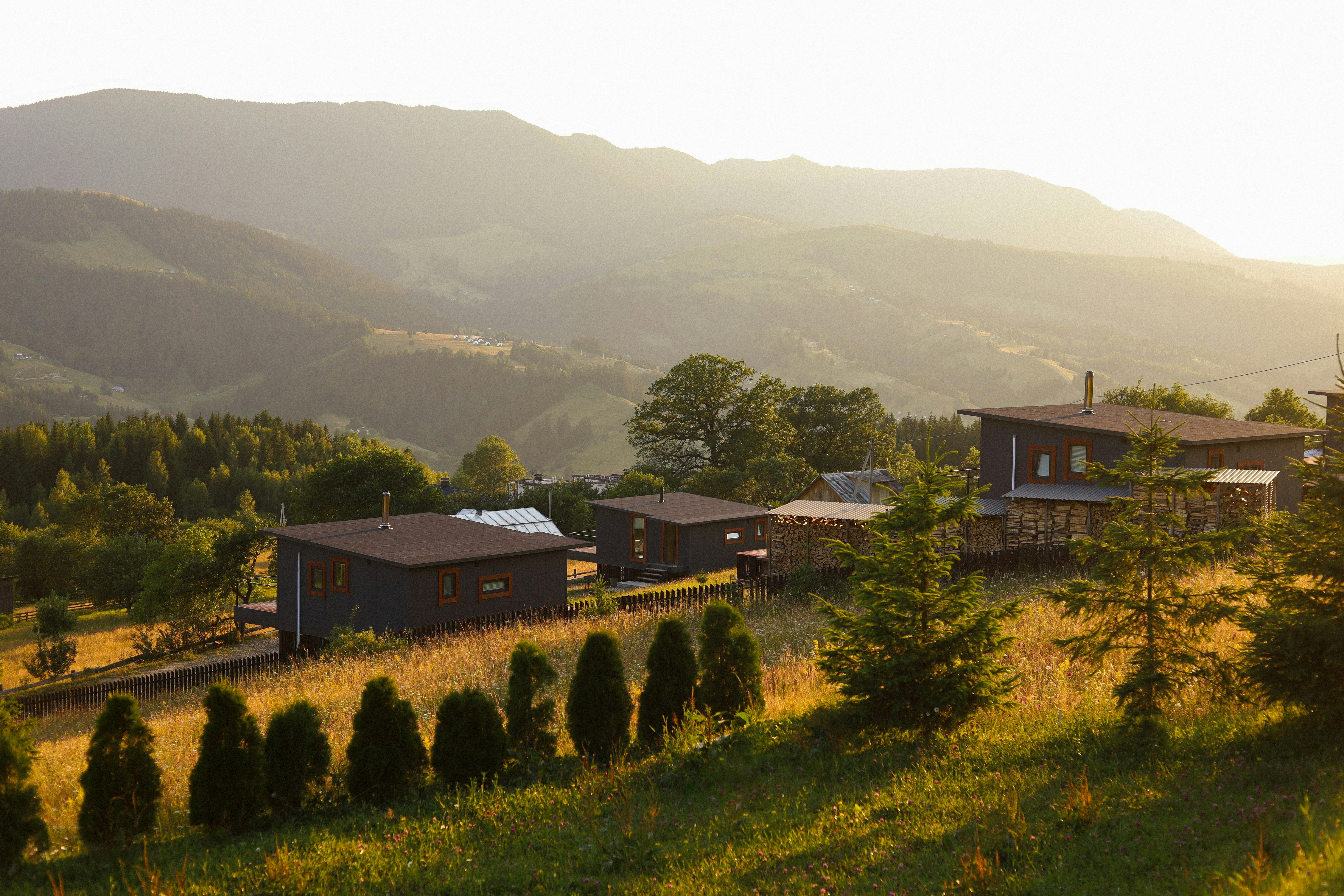 Photo by pavlo_talpa