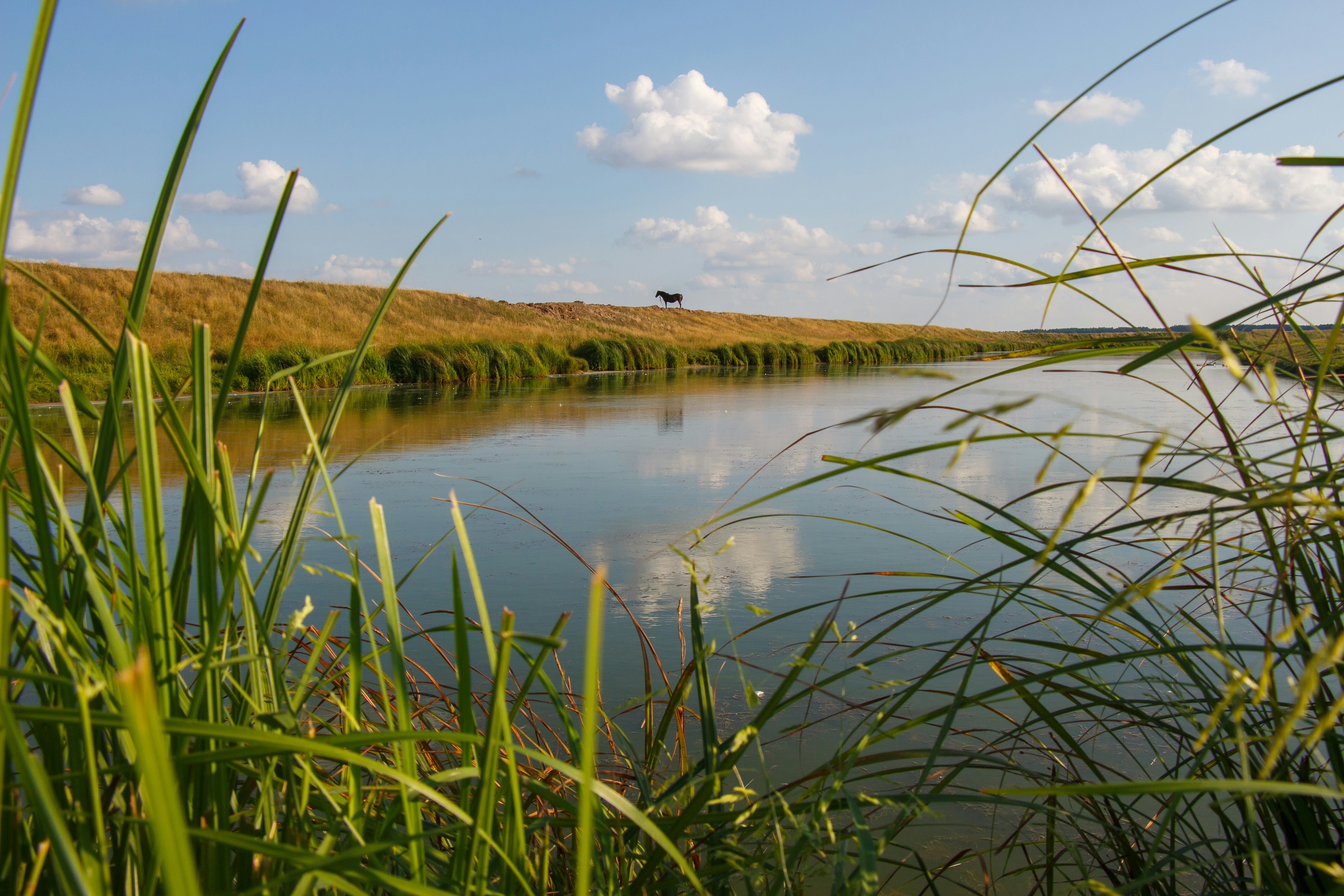 Photo by viktorsmoliak